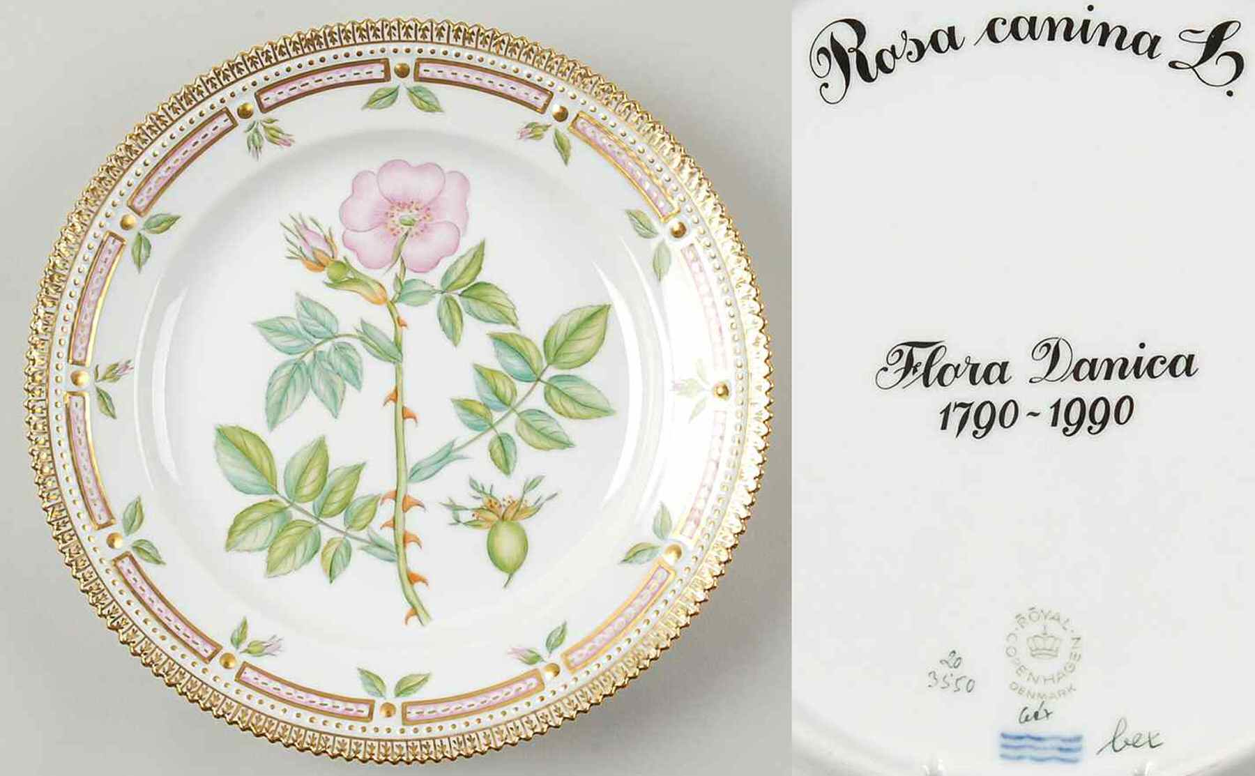 Flora Danica (1961 To Current) Jubilee Luncheon Plate-Rosa canina L by Royal Copenhagen-1