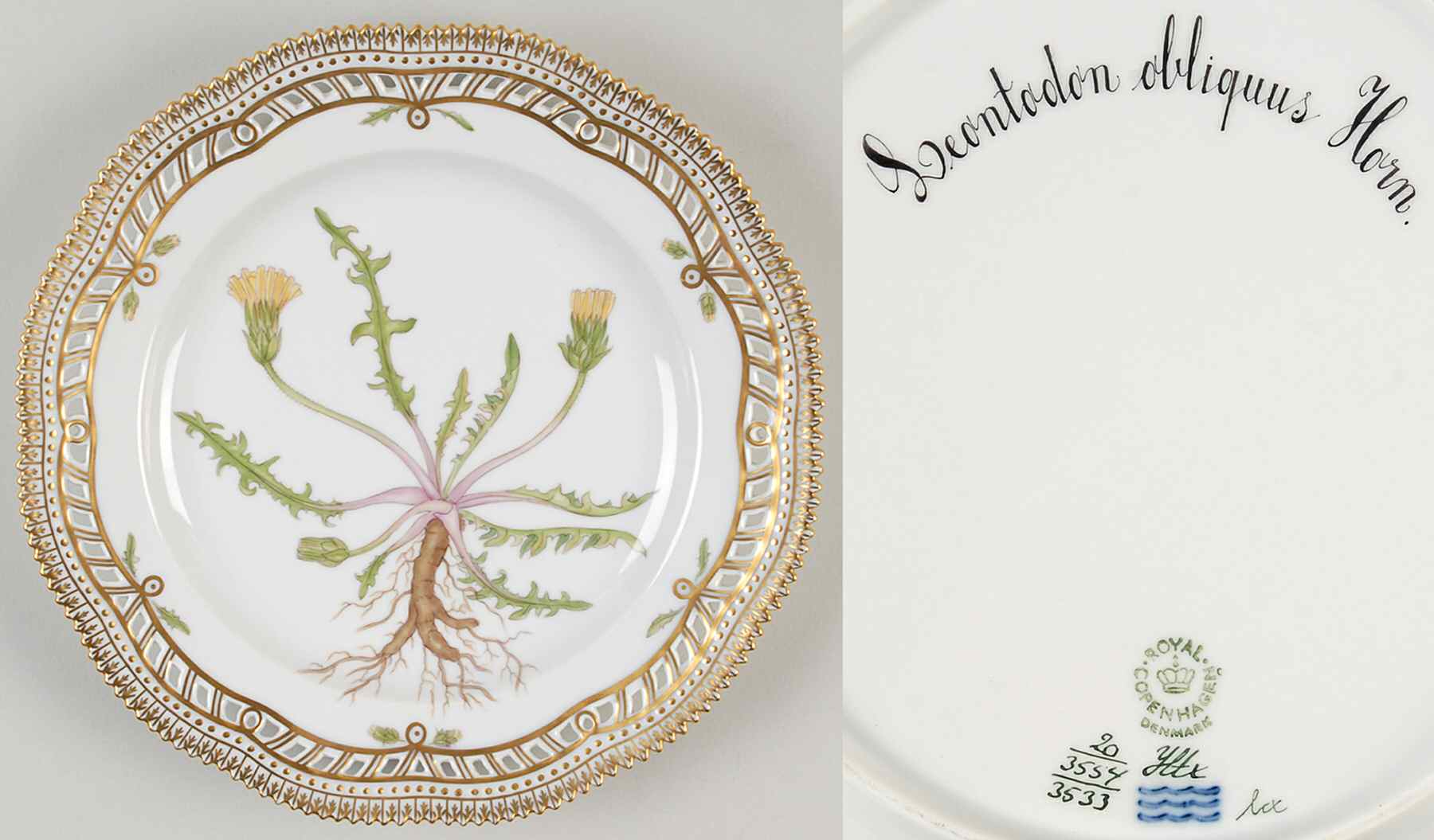 Flora Danica (1961 To Current) 9" Pierced Luncheon Plate/Fruit Std-Leontodon obli by Royal Copenhagen-1