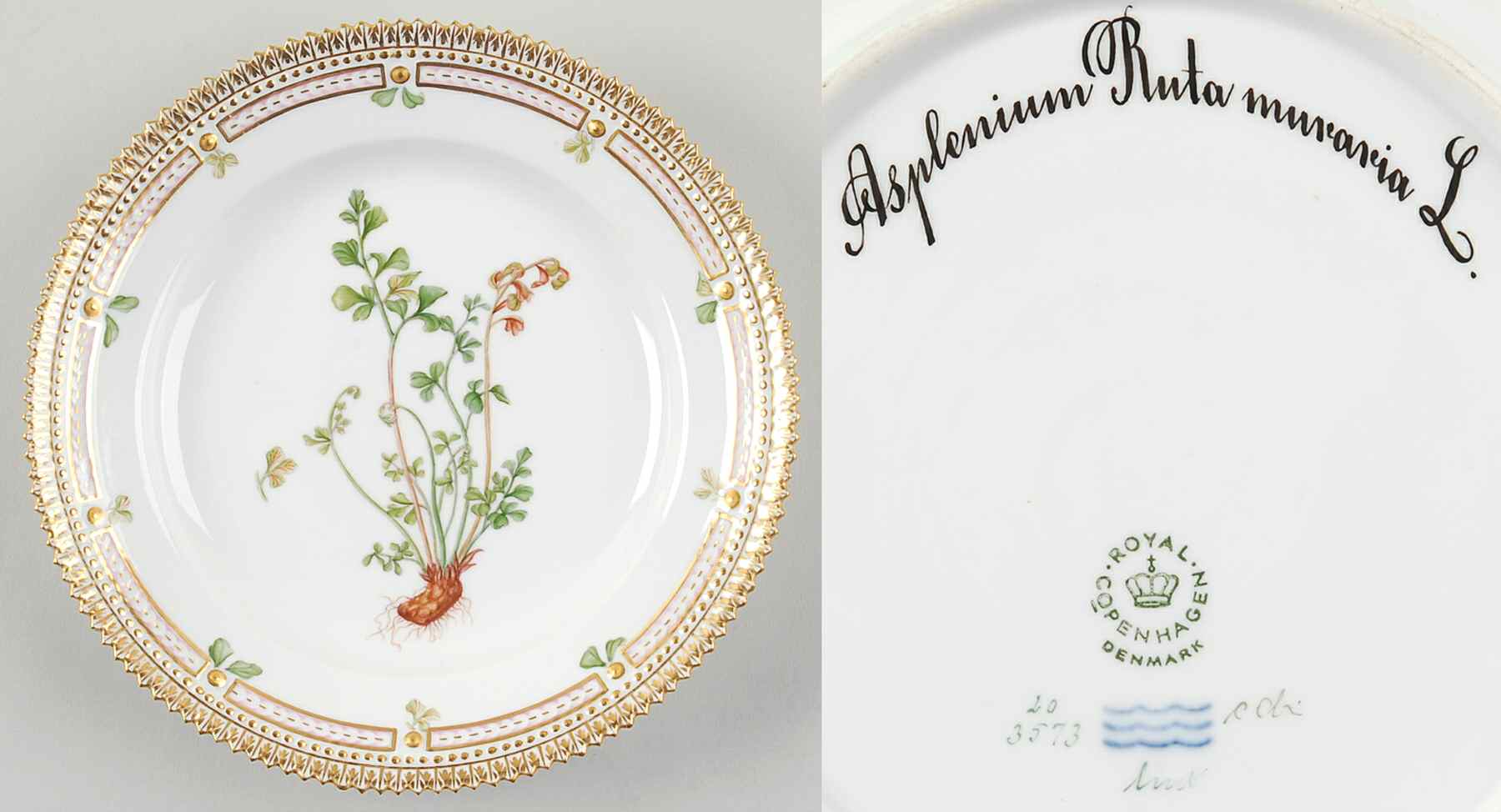 Flora Danica (1961 To Current) Salad Plate-Asplenium Ruta muraria L by Royal Copenhagen-1