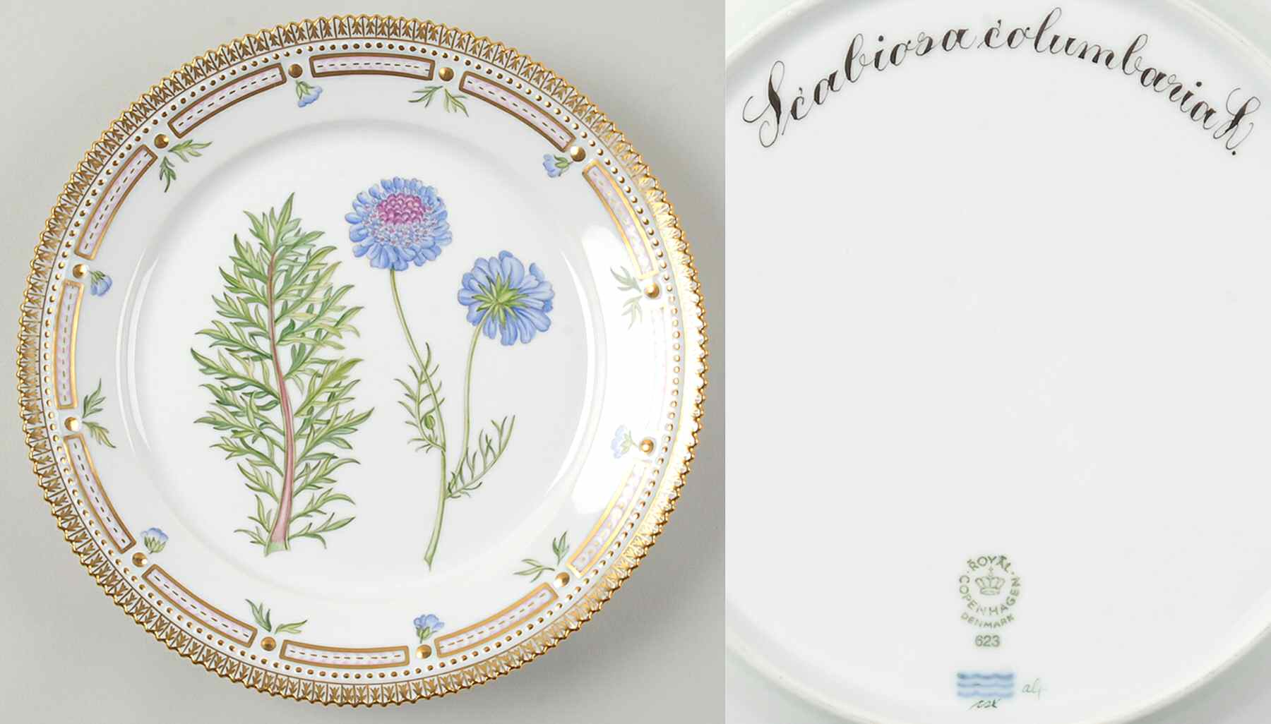 Flora Danica (1961 To Current) Luncheon Plate-Scabiosa columbaria L by Royal Copenhagen-1
