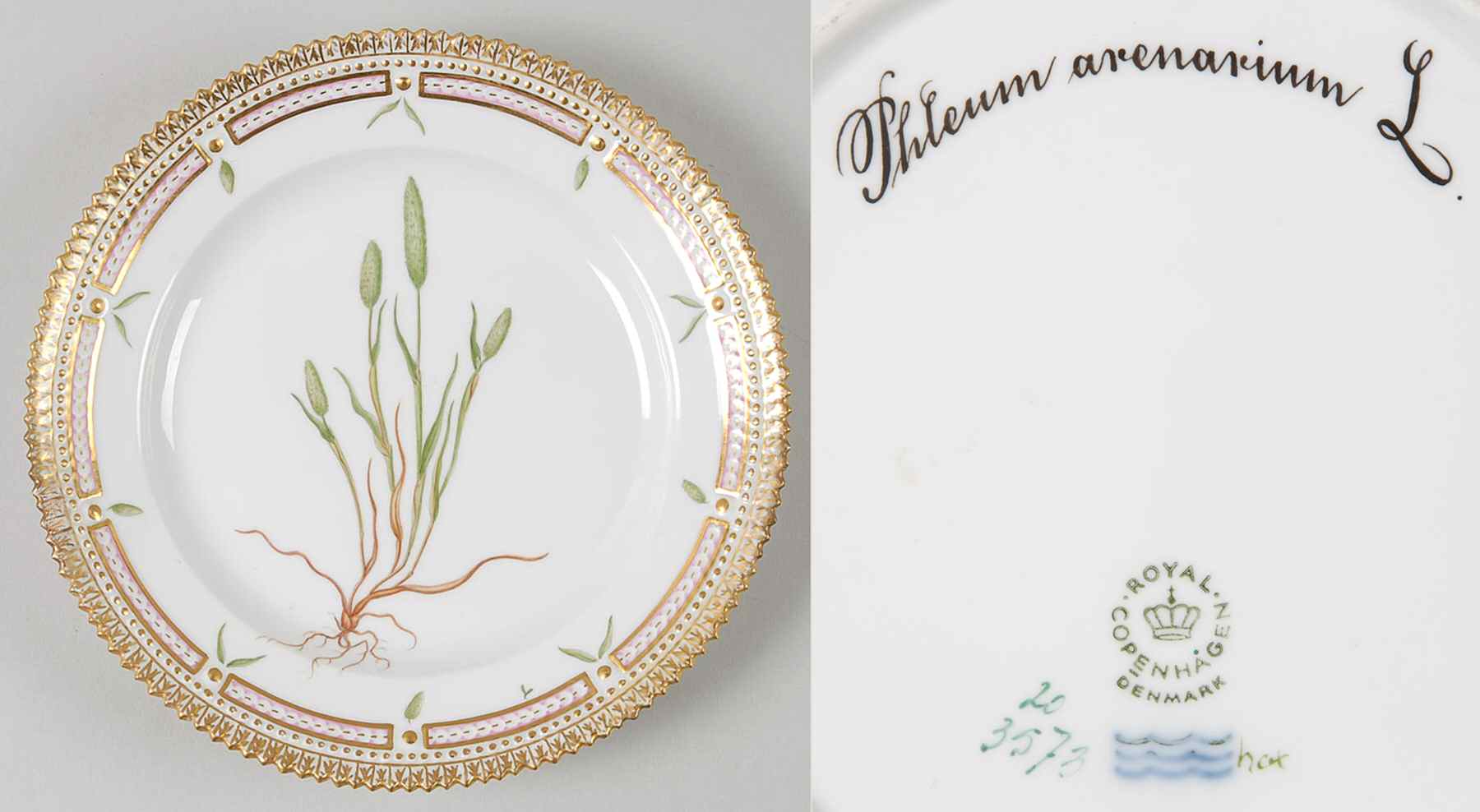 Flora Danica (1961 To Current) Salad Plate-Phleum arenarium L by Royal Copenhagen-1