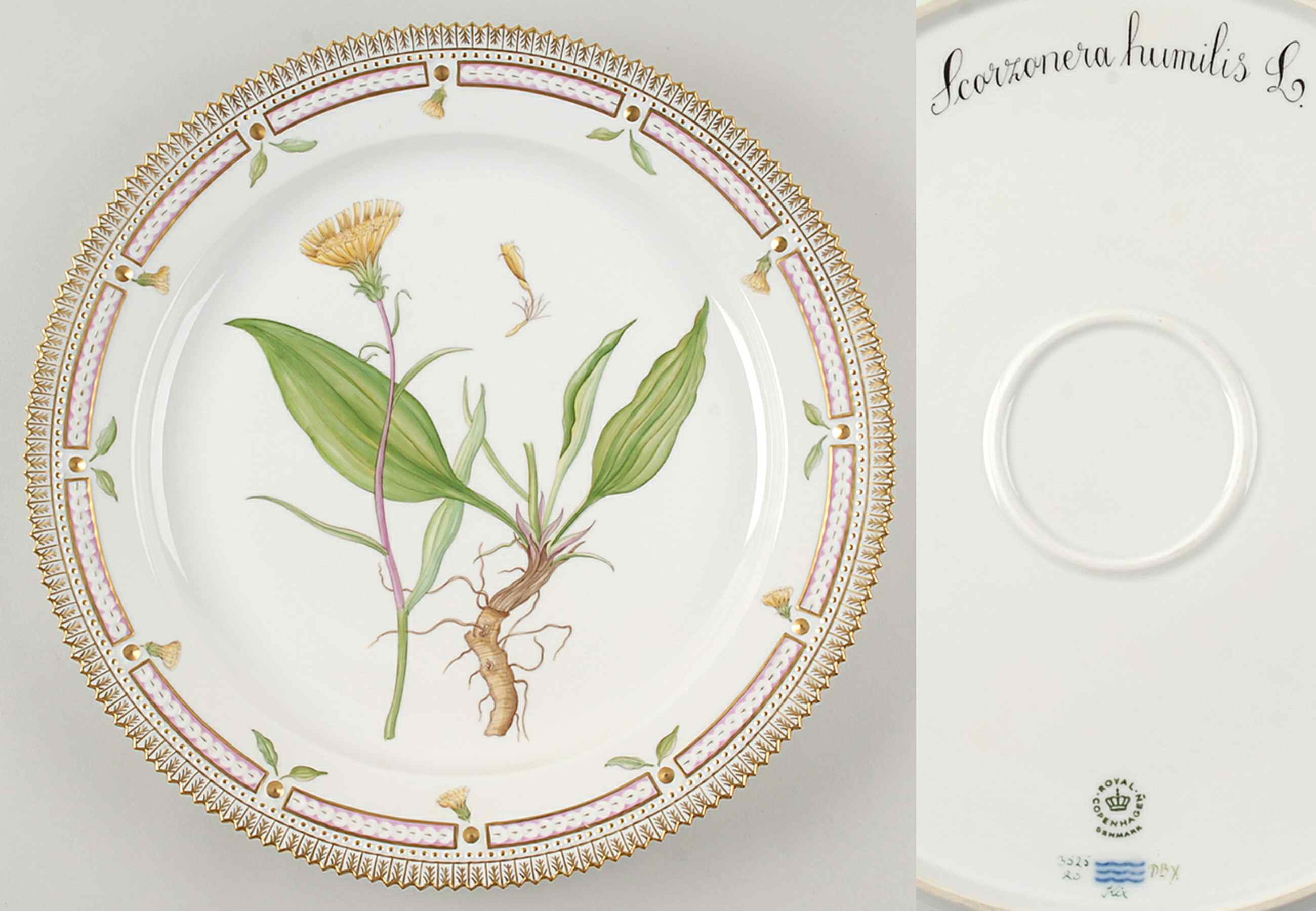 Flora Danica (1961 To Current) 14" Round Platter-Scorzonera humulis L by Royal Copenhagen-1
