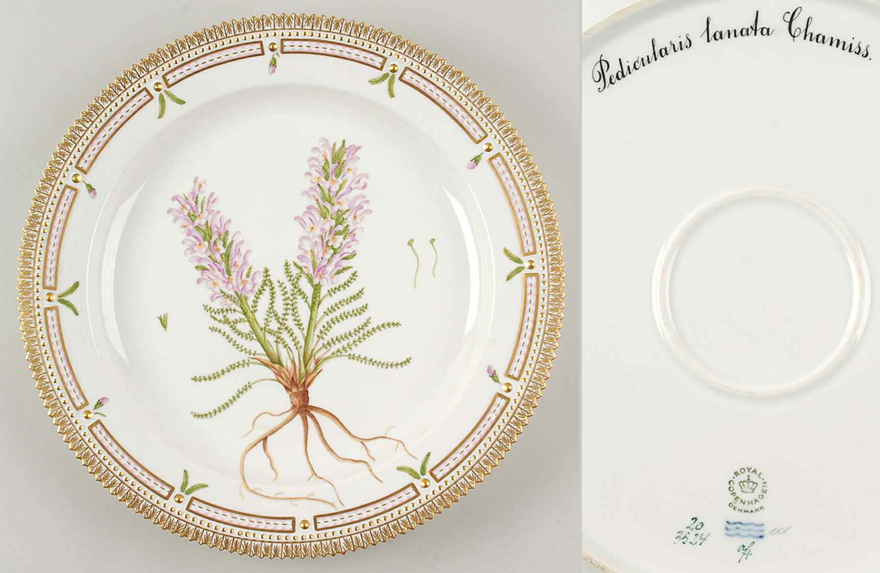 Flora Danica (1961 To Current) 13" Round Platter-Pedicularis lanata Chamiss by Royal Copenhagen-1