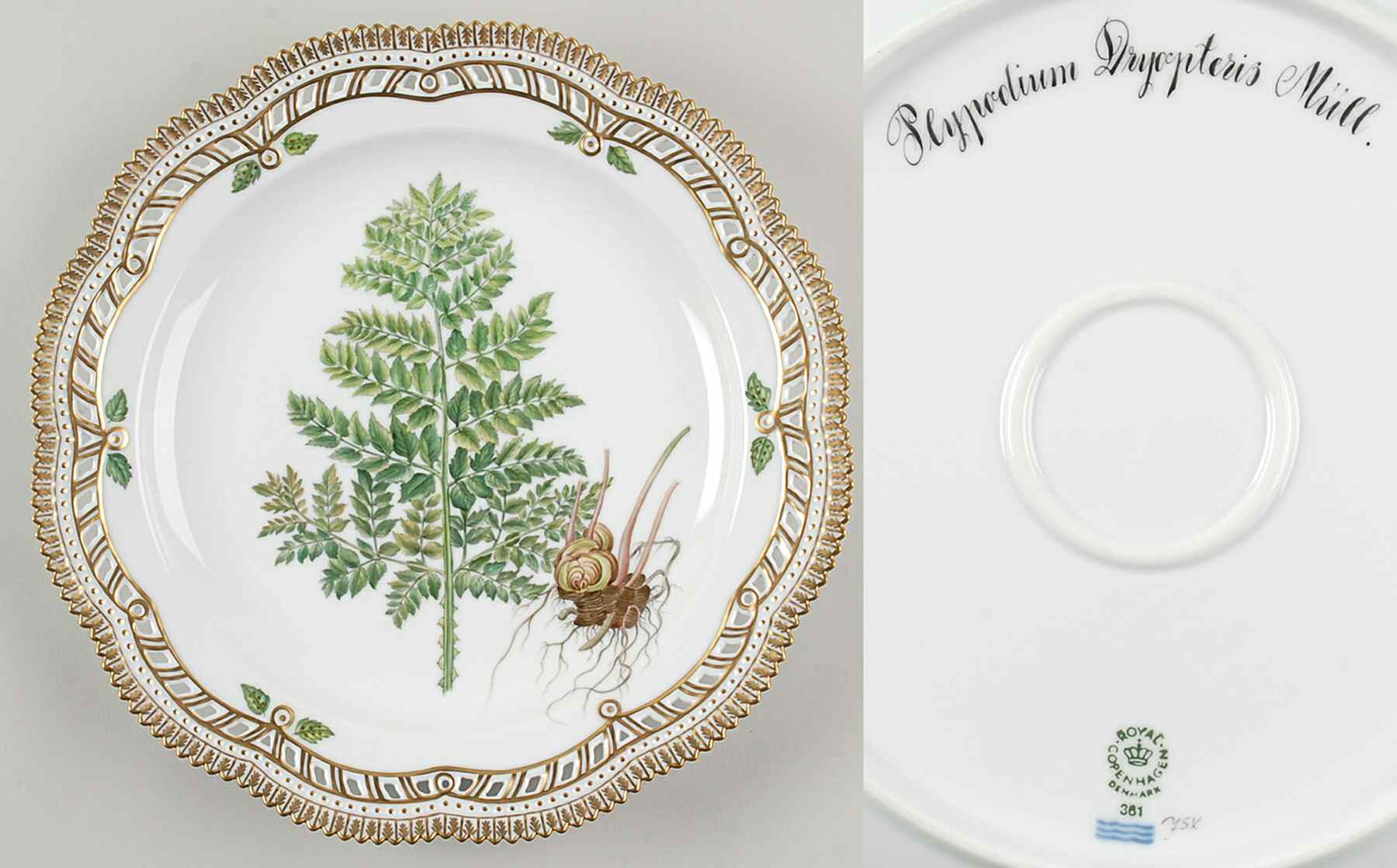 Flora Danica (1961 To Current) 11" Round Pierced Platter-Polypodium Dryopteris Mu by Royal Copenhagen-1