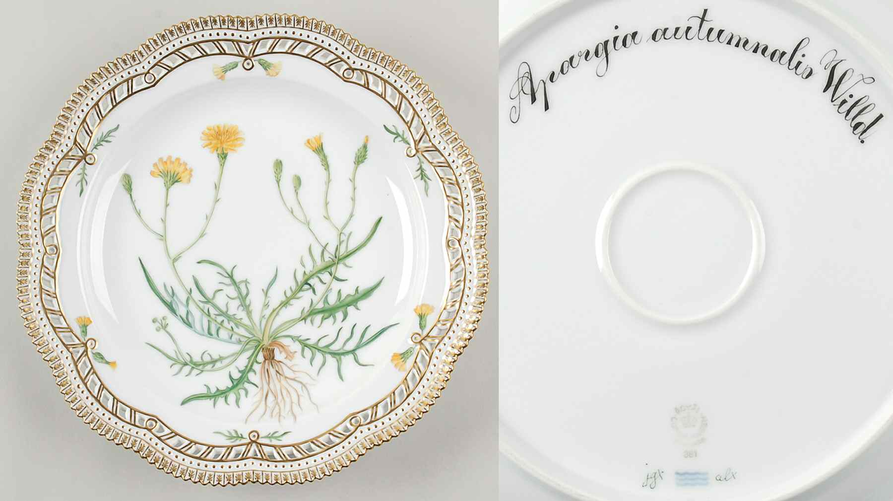 Flora Danica (1961 To Current) 11" Round Pierced Platter-Apargia autumnalis Willd by Royal Copenhagen-1