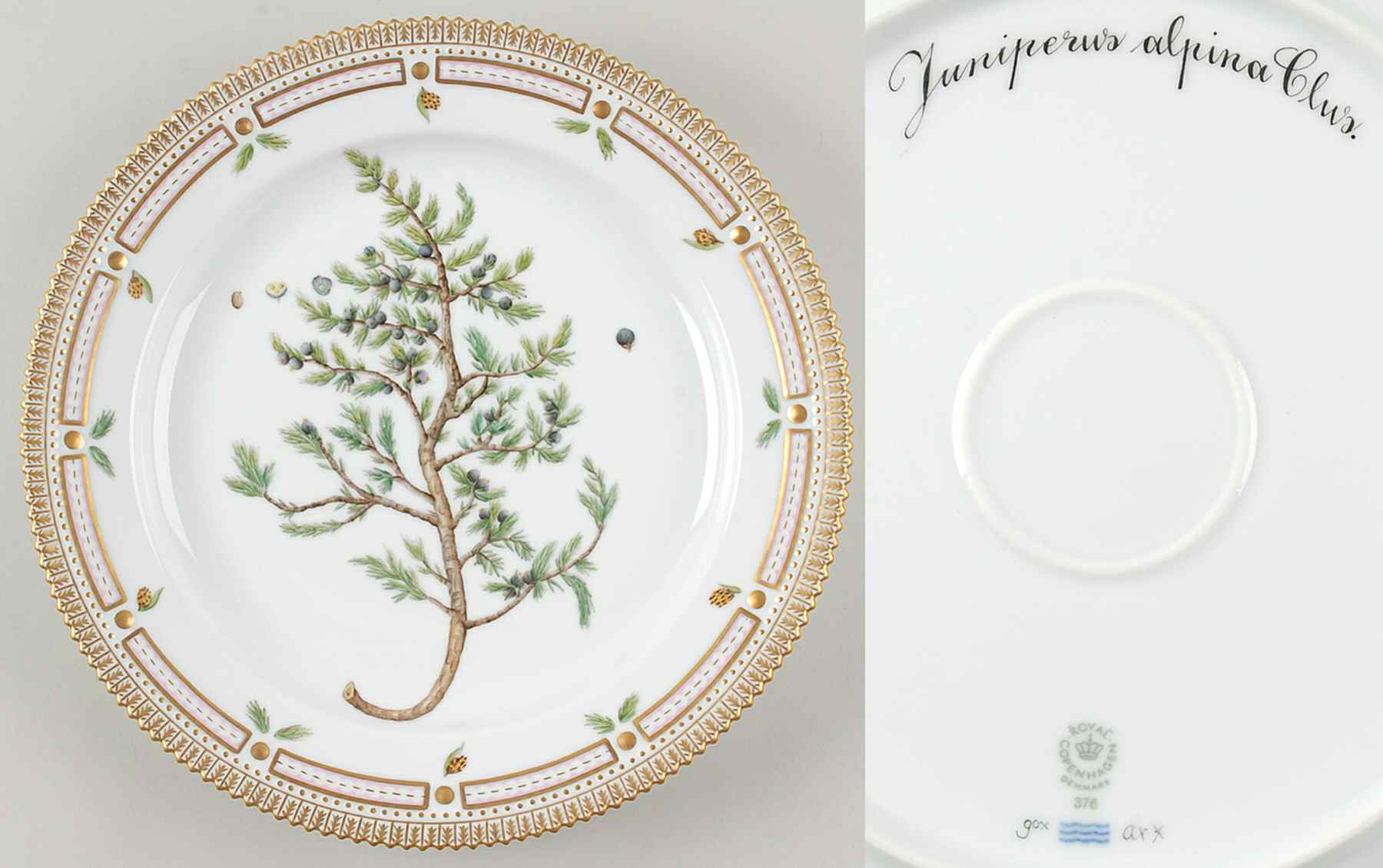Flora Danica (1961 To Current) 11" Round Platter-Juniperus alpina Clus by Royal Copenhagen-1