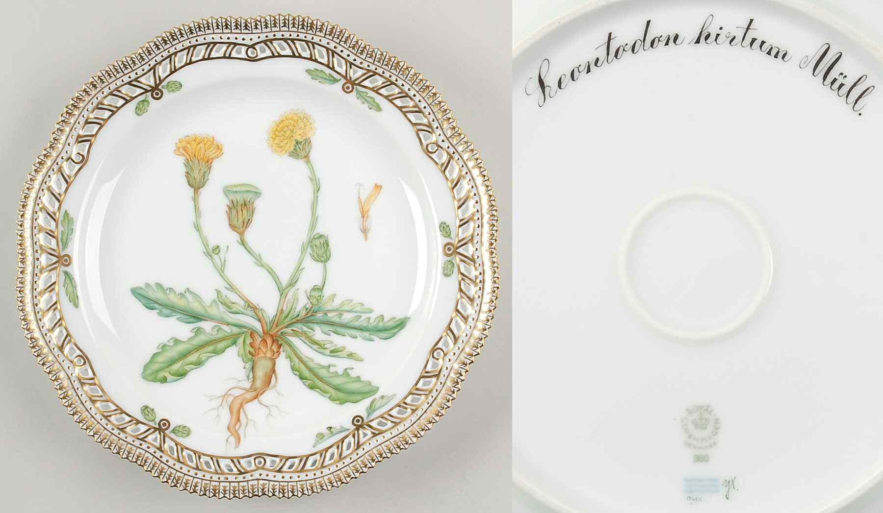 Flora Danica (1961 To Current) 10" Round Pierced Platter-Leontodon hirtum Mull by Royal Copenhagen-1