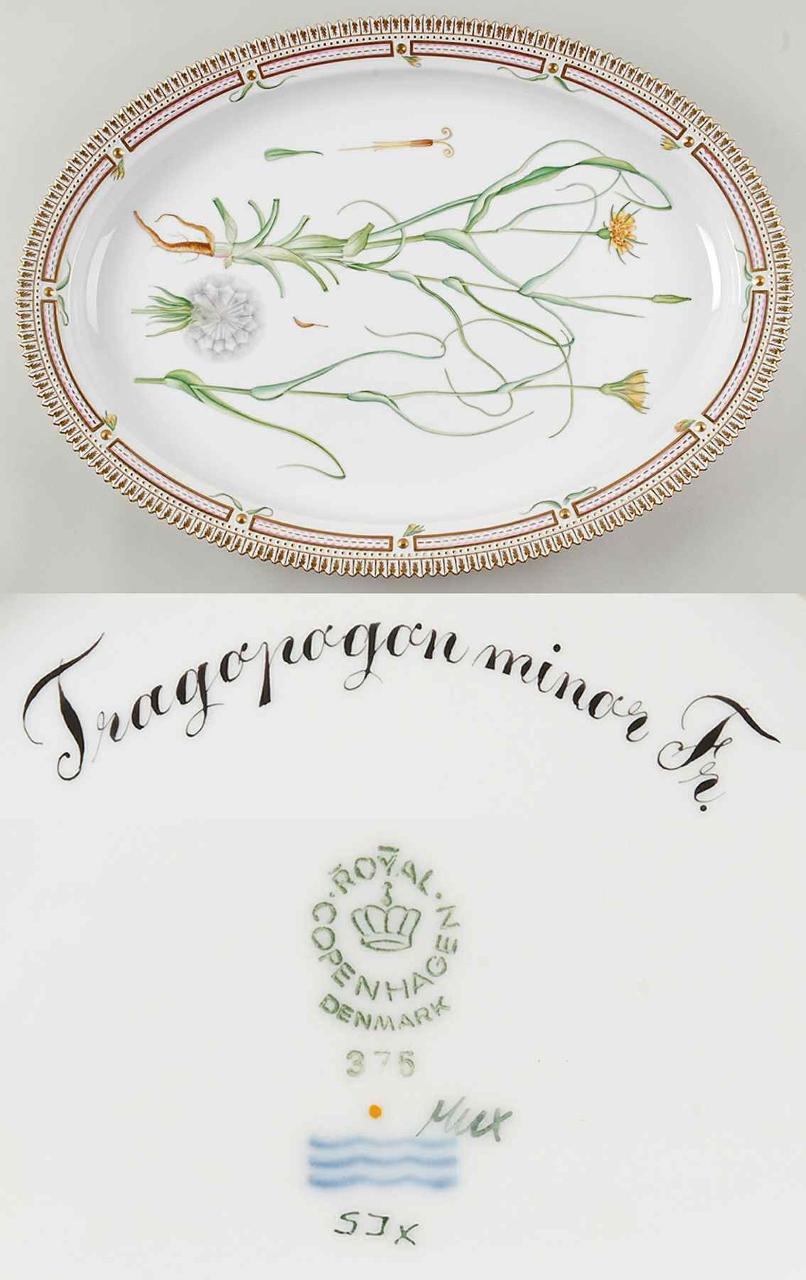 Flora Danica (1961 To Current) 20" Oval Serving Platter-Tragopogon minor Fr by Royal Copenhagen-1