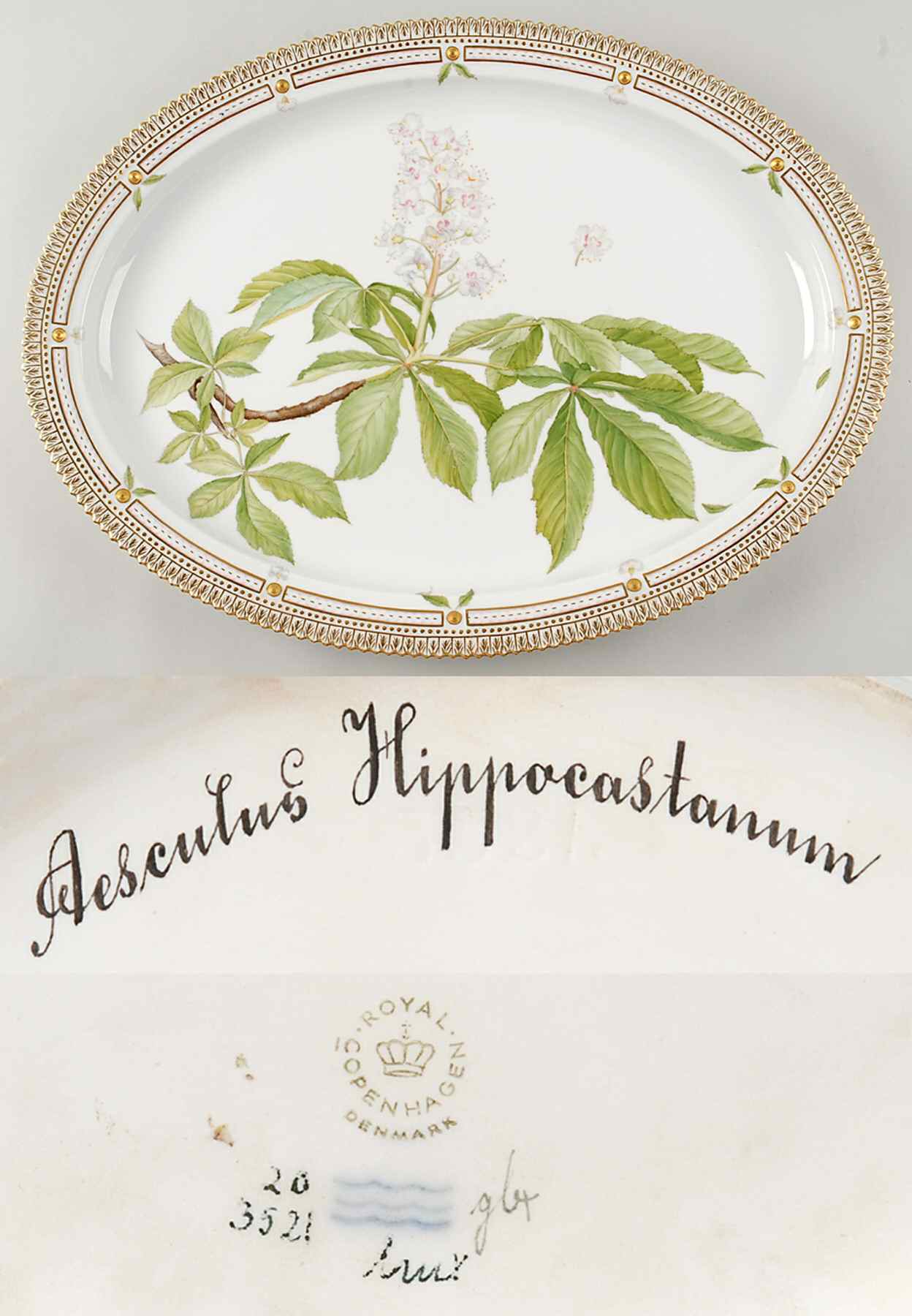 Flora Danica (1961 To Current) 20" Oval Serving Platter-Aesculus Hippocastanum by Royal Copenhagen-1