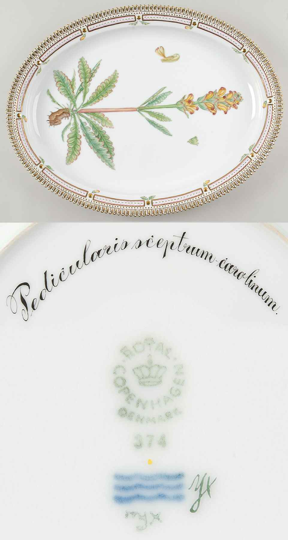 Flora Danica (1961 To Current) 18" Oval Serving Platter-Pedicularis sceptrum caro by Royal Copenhagen-1