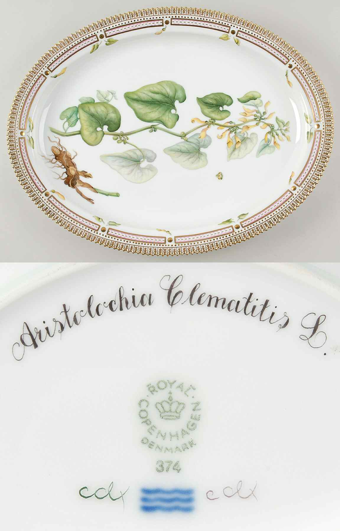 Flora Danica (1961 To Current) 18" Oval Serving Platter-Aristolochia Clematitis L by Royal Copenhagen-1