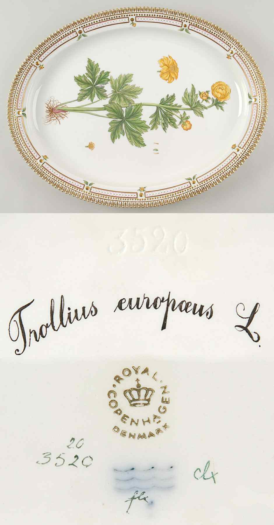 Flora Danica (1961 To Current) 18" Oval Serving Platter-Trollius europaeus L by Royal Copenhagen-1