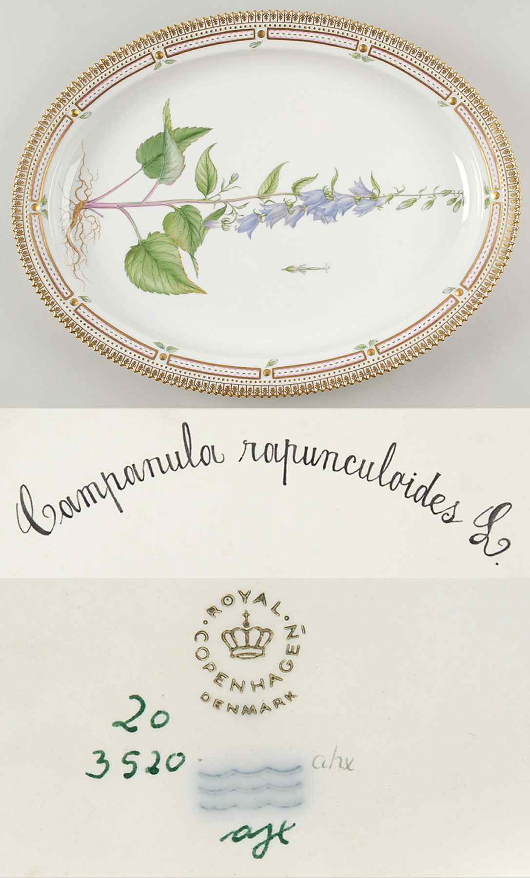 Flora Danica (1961 To Current) 18" Oval Serving Platter-Campanula rapunculoides L by Royal Copenhagen-1