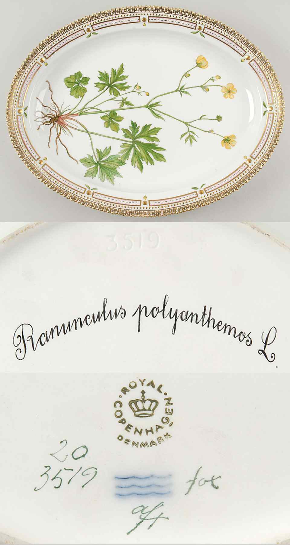 Flora Danica (1961 To Current) 17" Oval Serving Platter-Ranunculus polyanthemos L by Royal Copenhagen-1