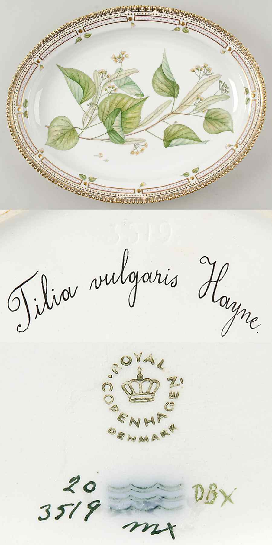 Flora Danica (1961 To Current) 17" Oval Serving Platter-Tilia vulgaris hayne by Royal Copenhagen-1