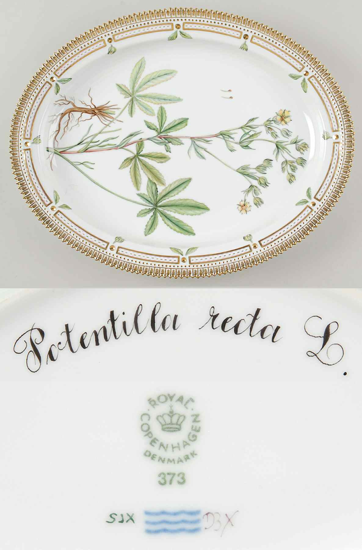 Flora Danica (1961 To Current) 15" Oval Serving Platter-Potentilla recta L by Royal Copenhagen-1