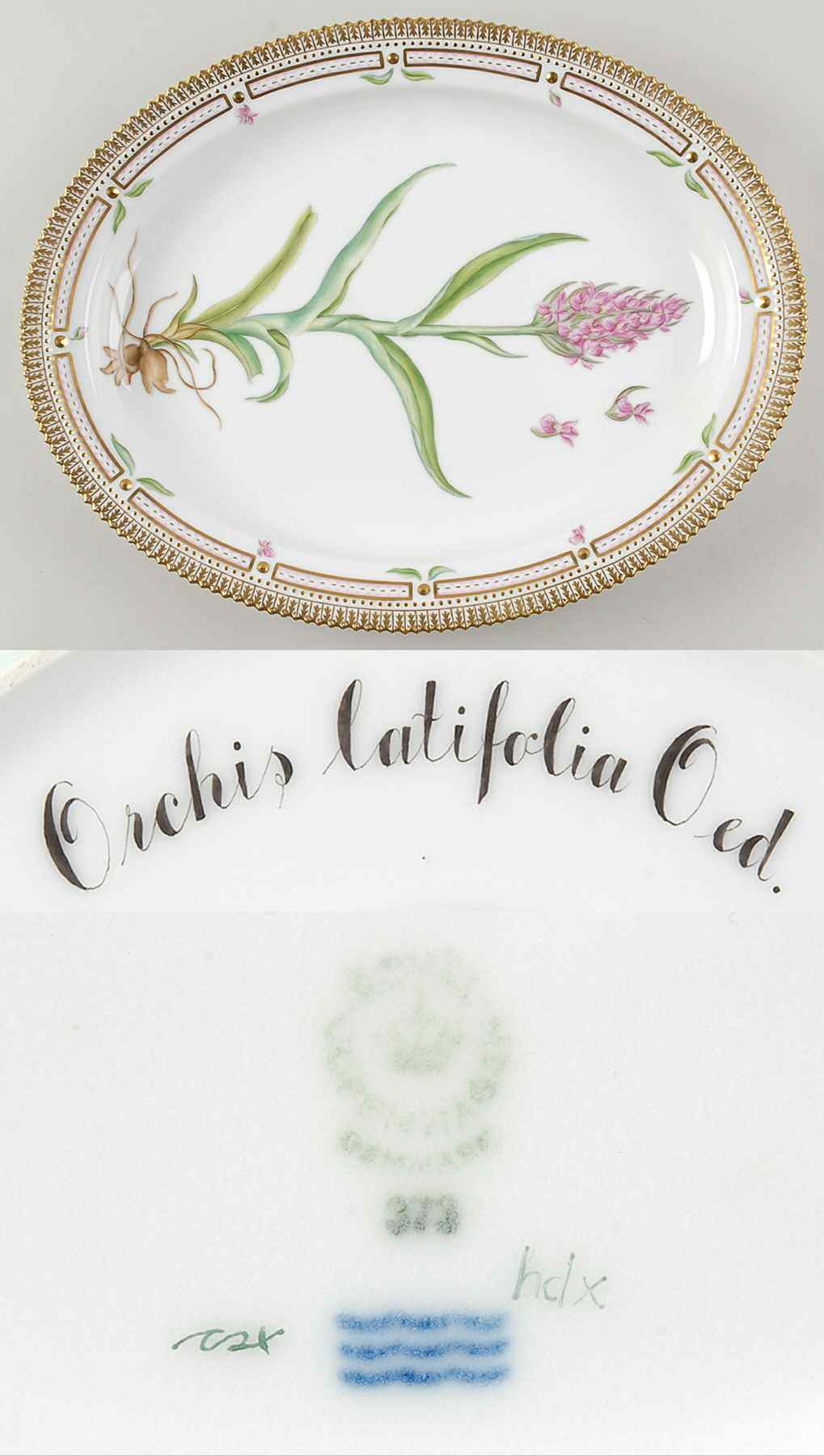 Flora Danica (1961 To Current) 15" Oval Serving Platter-Orchis latifolia Oed by Royal Copenhagen-1