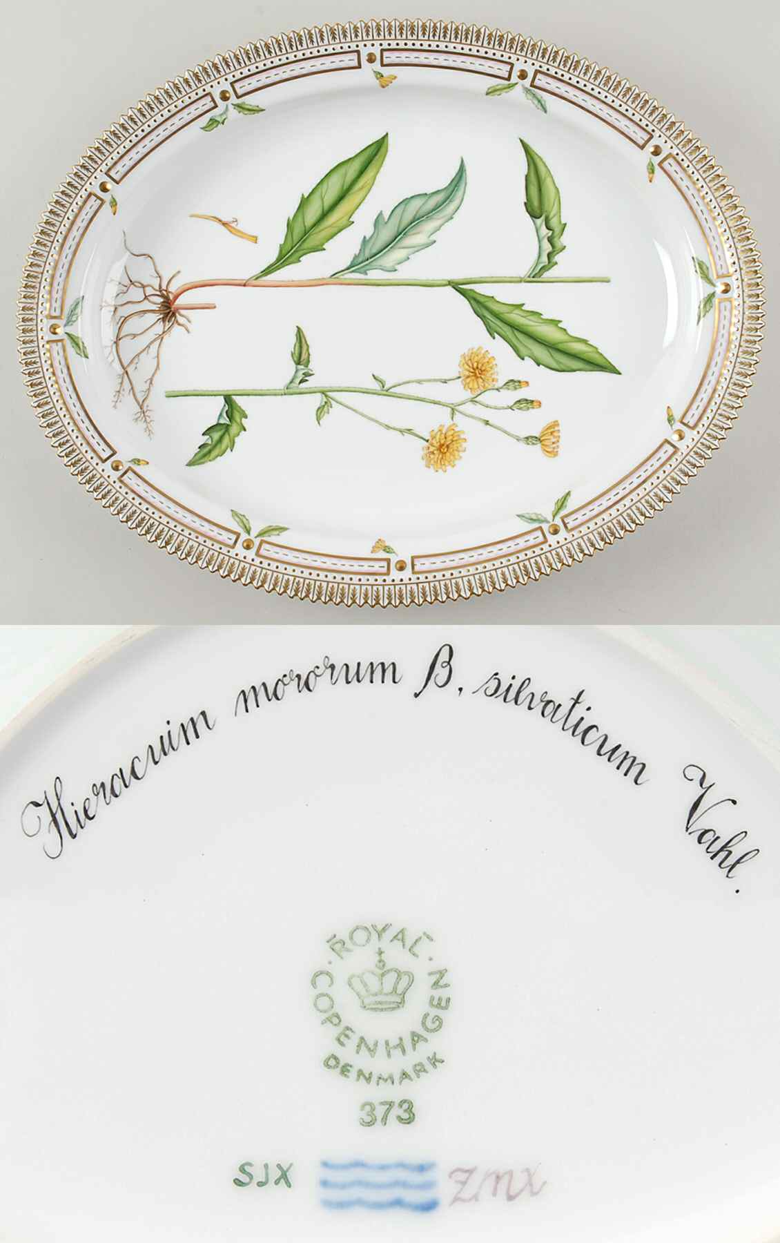 Flora Danica (1961 To Current) 15" Oval Serving Platter-Hieracium memorum B silva by Royal Copenhagen-1