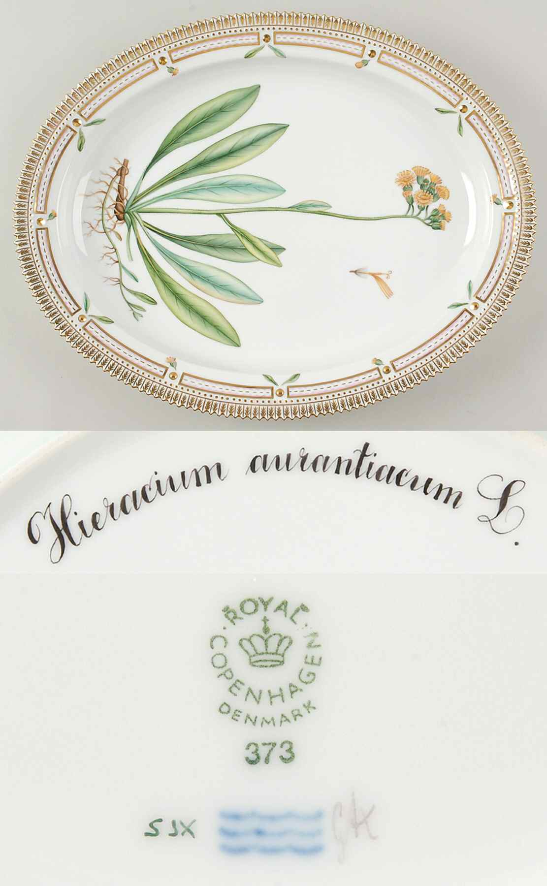 Flora Danica (1961 To Current) 15" Oval Serving Platter-Hieracium aurantiacum L by Royal Copenhagen-1