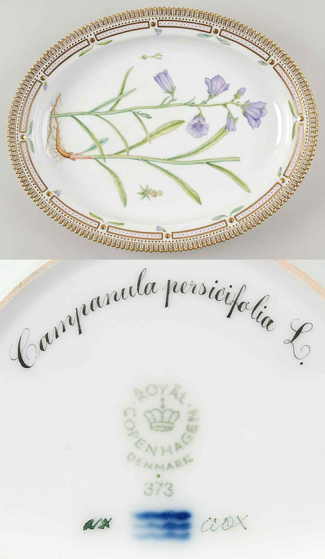 Flora Danica (1961 To Current) 15" Oval Serving Platter-Campanula persicifolia L by Royal Copenhagen-1