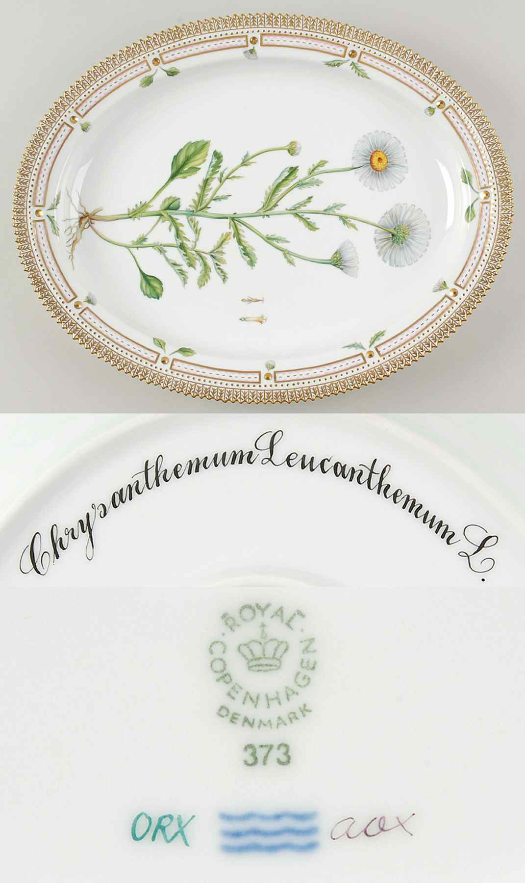 Flora Danica (1961 To Current) 15" Oval Serving Platter-Chrysanthemum Leucanthemu by Royal Copenhagen-1