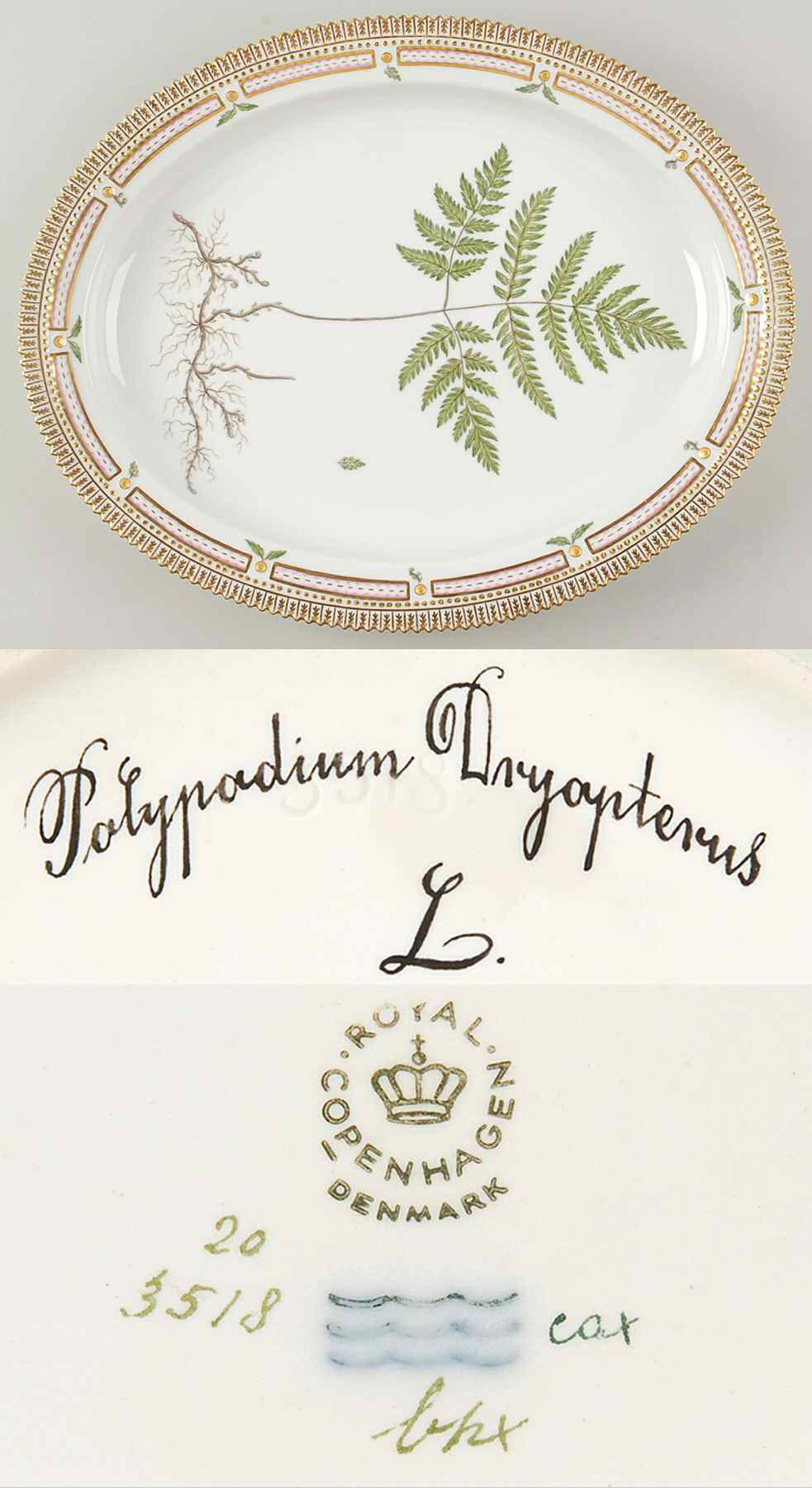 Flora Danica (1961 To Current) 15" Oval Serving Platter-Polypodium Dryopterus L by Royal Copenhagen-1