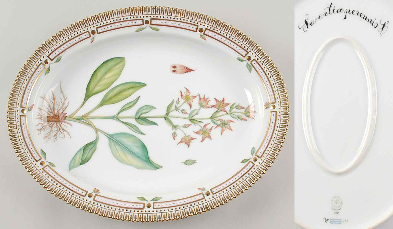 Flora Danica (1961 To Current) 14" Oval Serving Platter-Swertia perennis L. by Royal Copenhagen-1