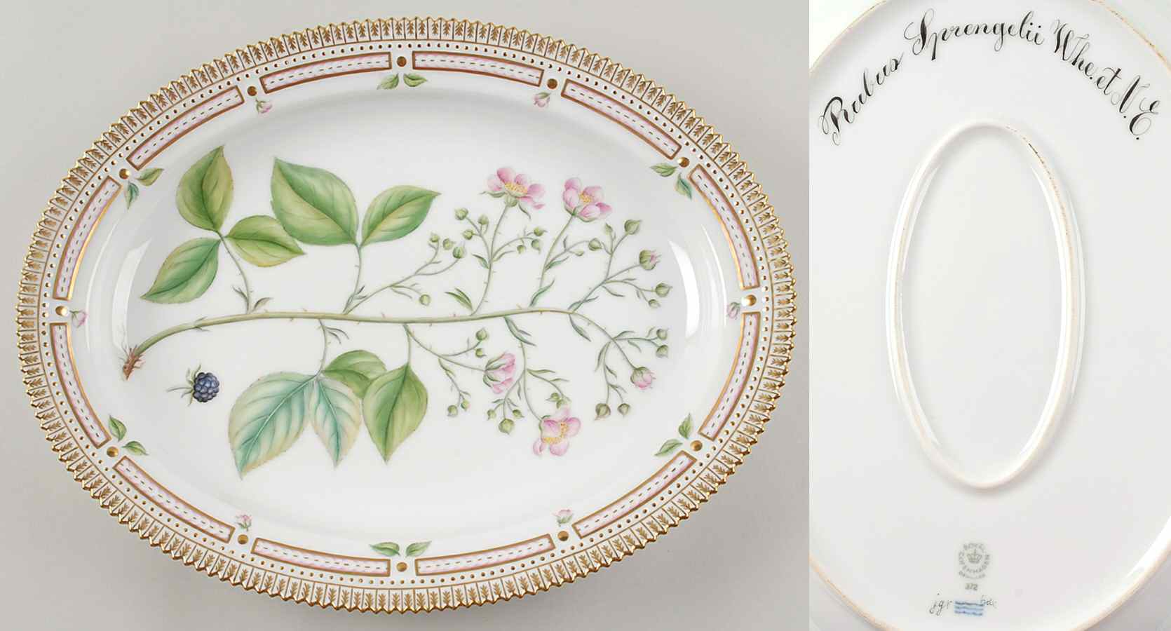 Flora Danica (1961 To Current) 14" Oval Serving Platter-Rubus Sprengelii Whe et N by Royal Copenhagen-1