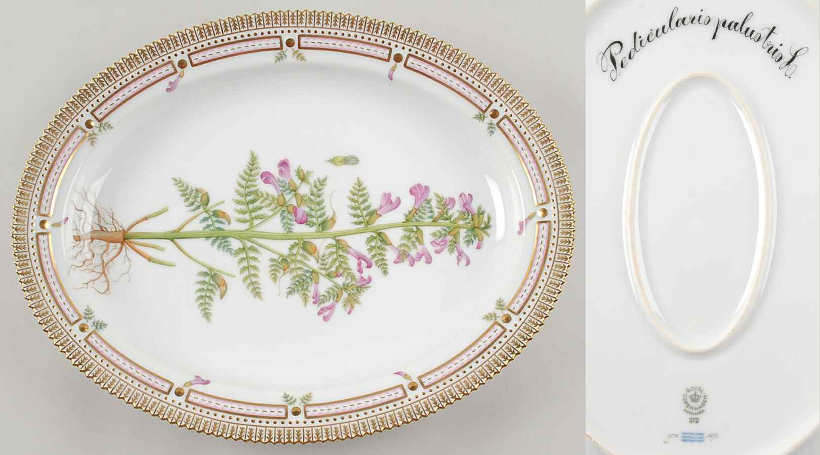 Flora Danica (1961 To Current) 14" Oval Serving Platter-Pedicularis palustris L by Royal Copenhagen-1