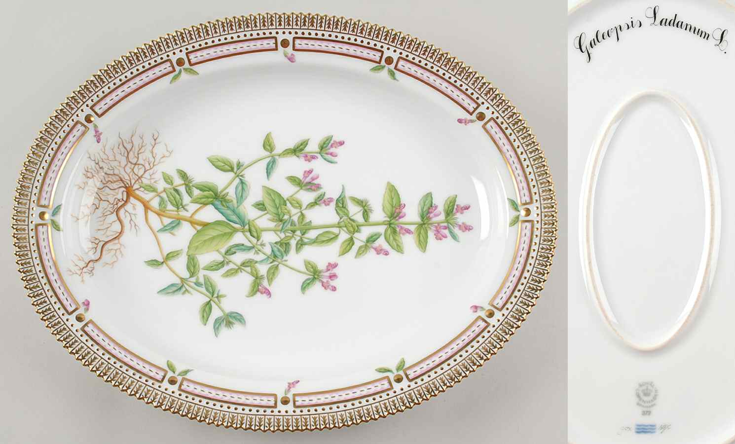 Flora Danica (1961 To Current) 14" Oval Serving Platter-Galeopsis Ladanum L by Royal Copenhagen-1