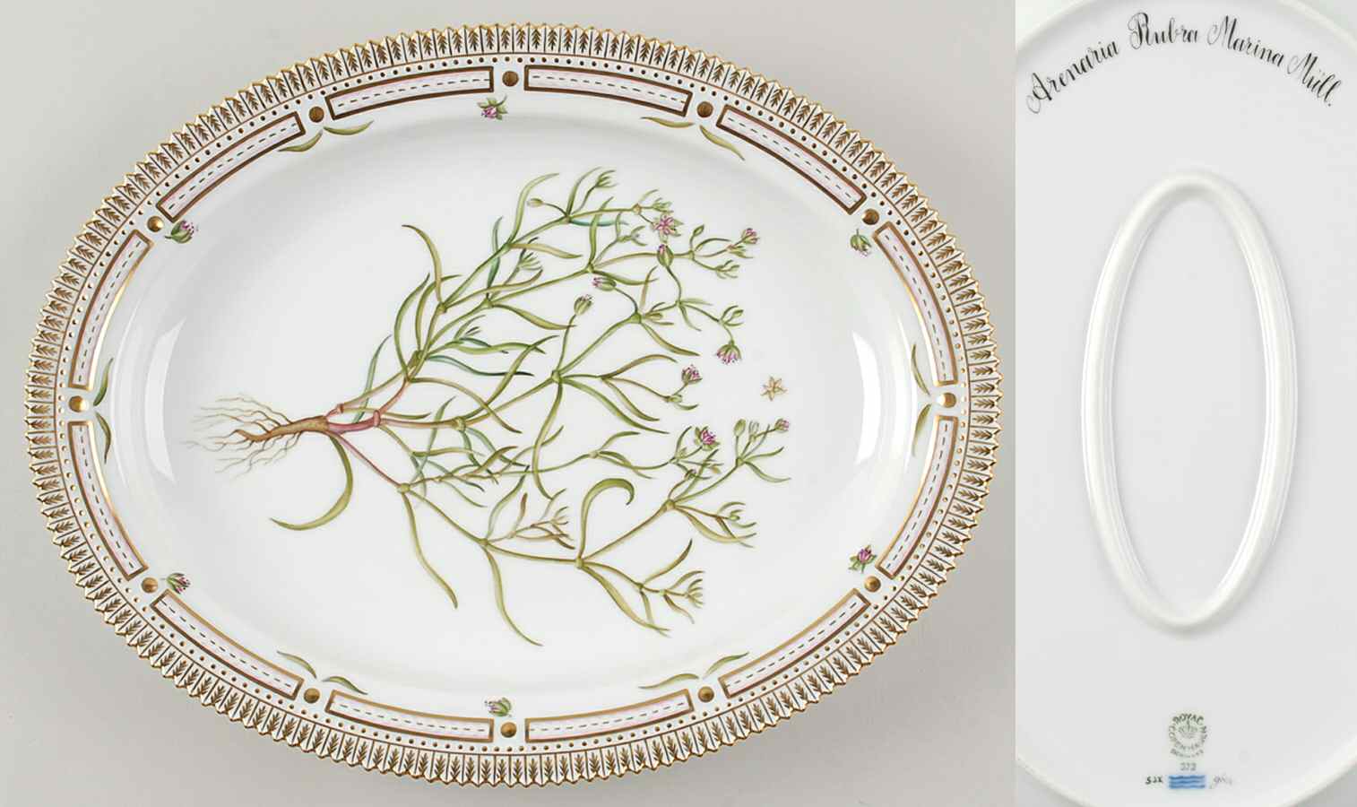 Flora Danica (1961 To Current) 14" Oval Serving Platter-Arenaria Rubra Marina Mul by Royal Copenhagen-1