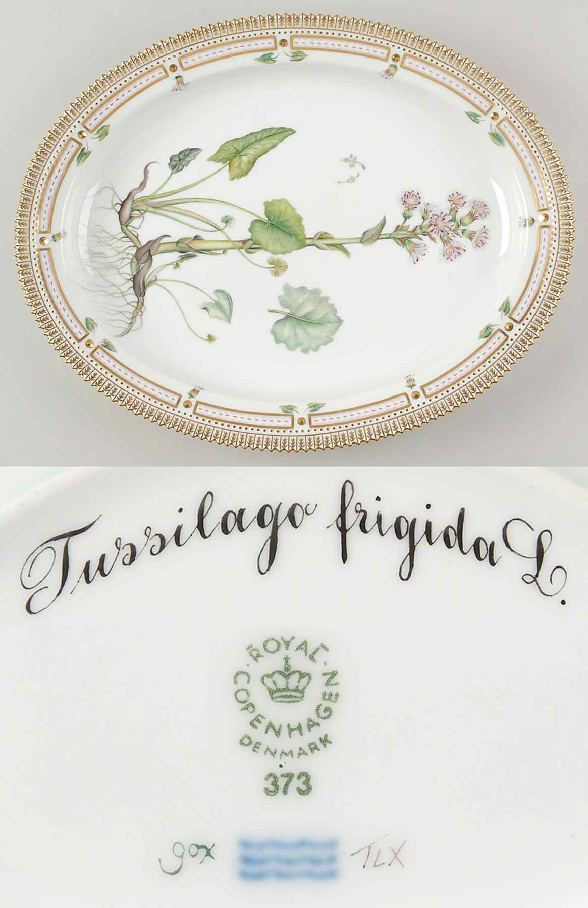 Flora Danica (1961 To Current) 15" Oval Serving Platter-Tussilago frigida L by Royal Copenhagen-1