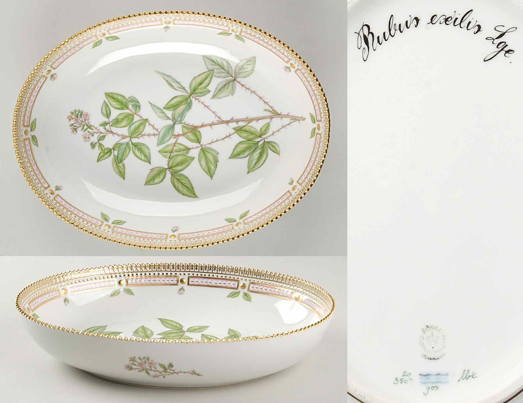 Flora Danica (1961 To Current) 10" Oval Salad Serving Bowl-Rubus exilis Lge by Royal Copenhagen-1