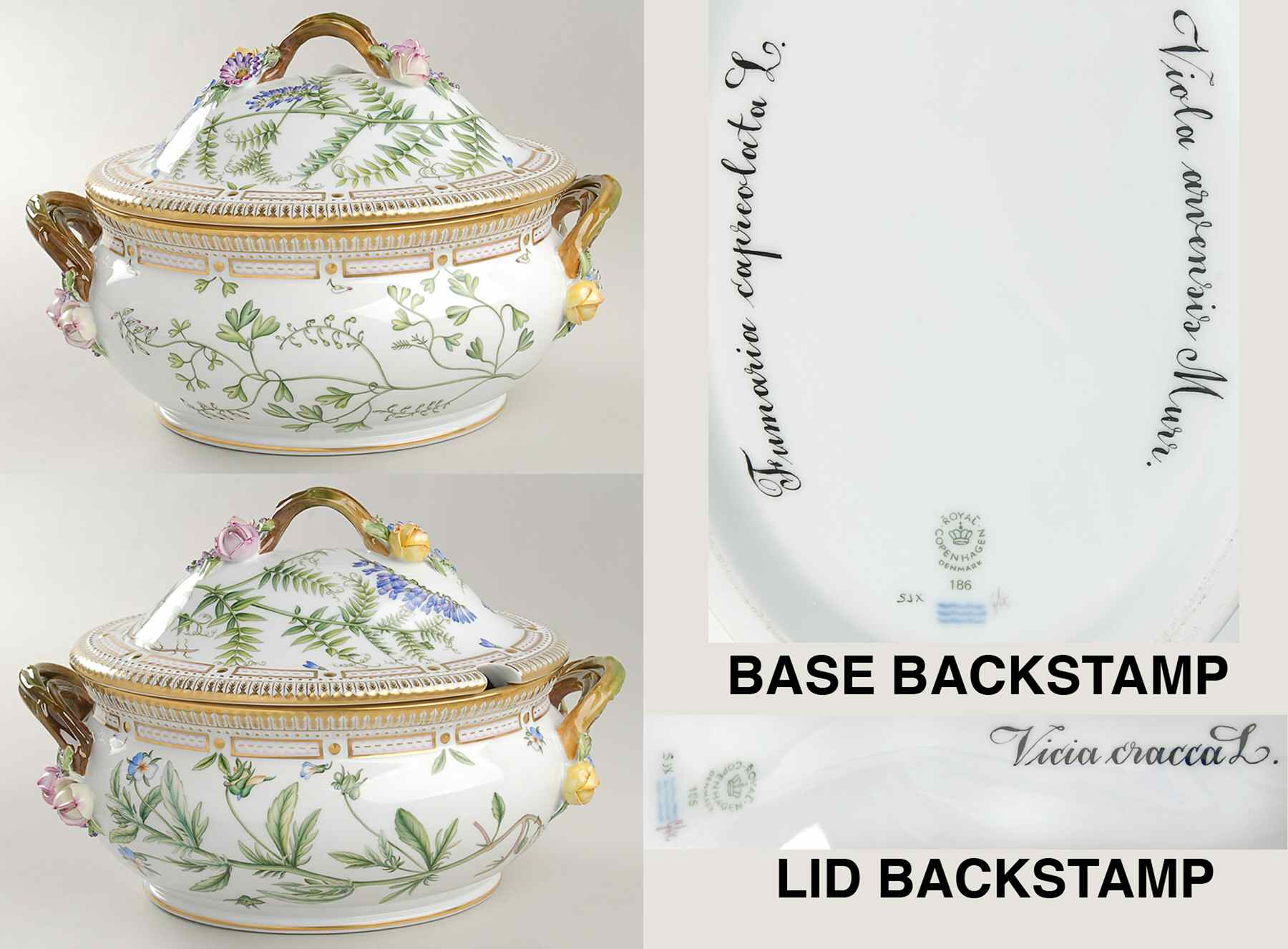 Flora Danica (1961 To Current) 4Qt Oval Tureen & Lid-Fumaria,Viola, Vicia cracca by Royal Copenhagen-1