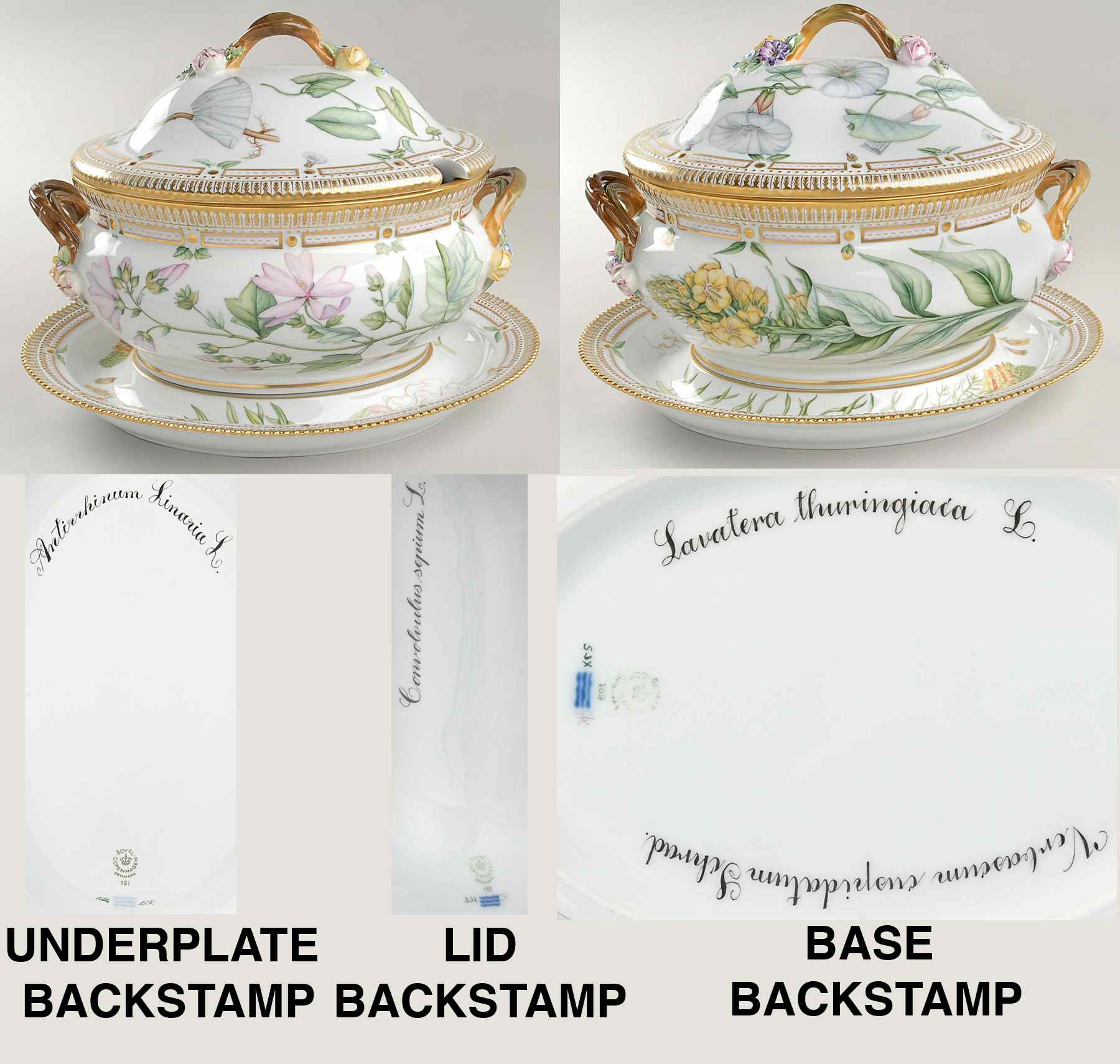 Flora Danica (1961 To Current) 5Qt Oval Tureen & Lid w/Underplate-Lav,Convo,Antir by Royal Copenhagen-1