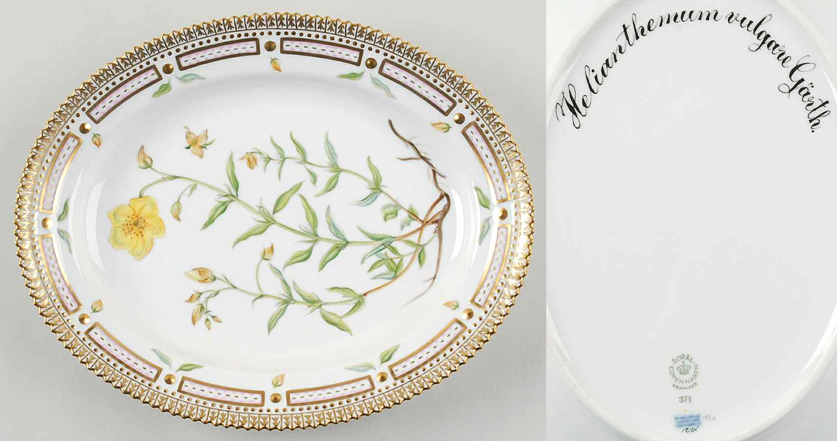 Flora Danica (1961 To Current) 9" Oval Serving Platter-Helianthemum vulgare garth by Royal Copenhagen-1