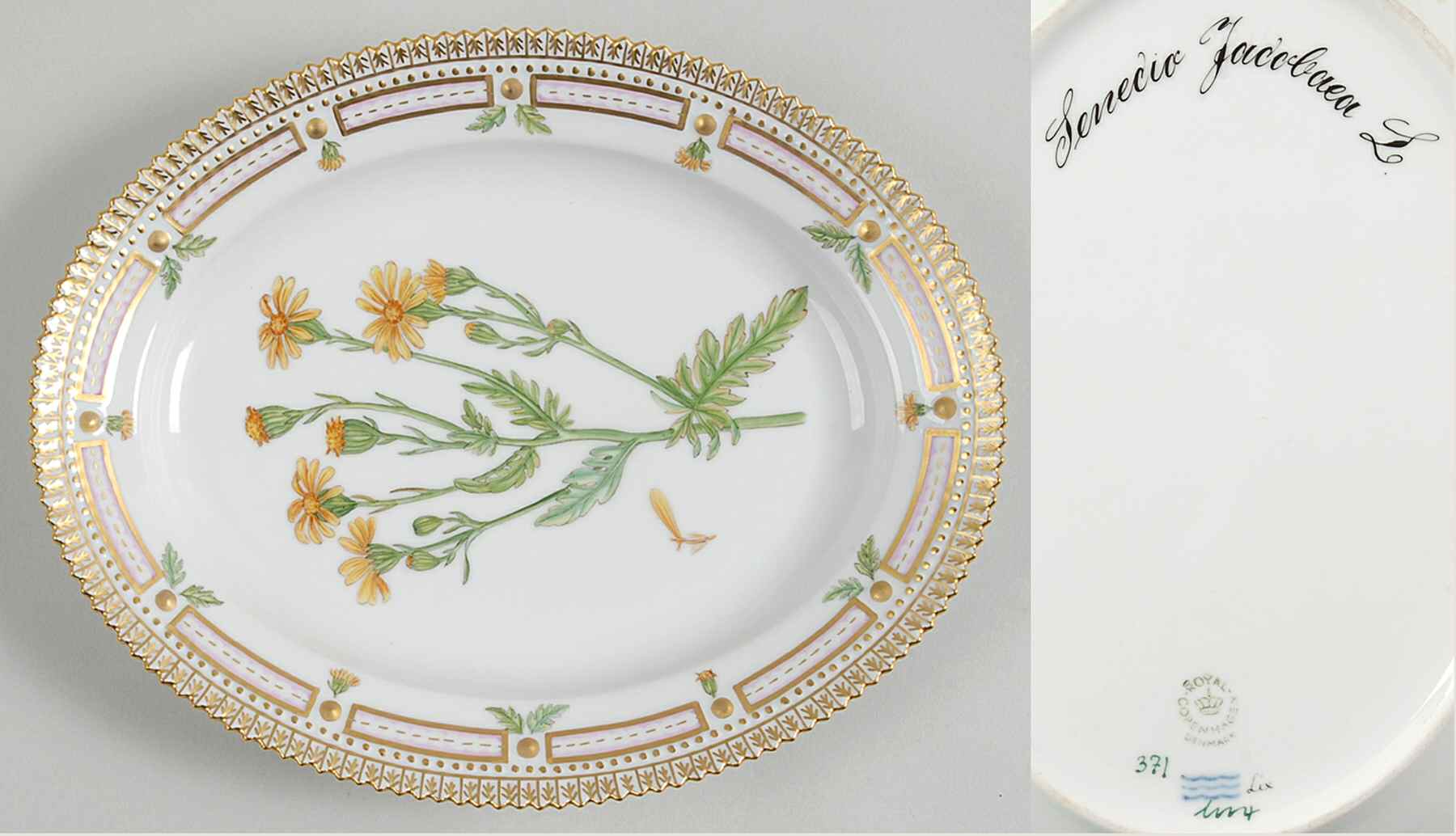 Flora Danica (1961 To Current) 9" Oval Serving Platter-Senecio Jacobaea L by Royal Copenhagen-1