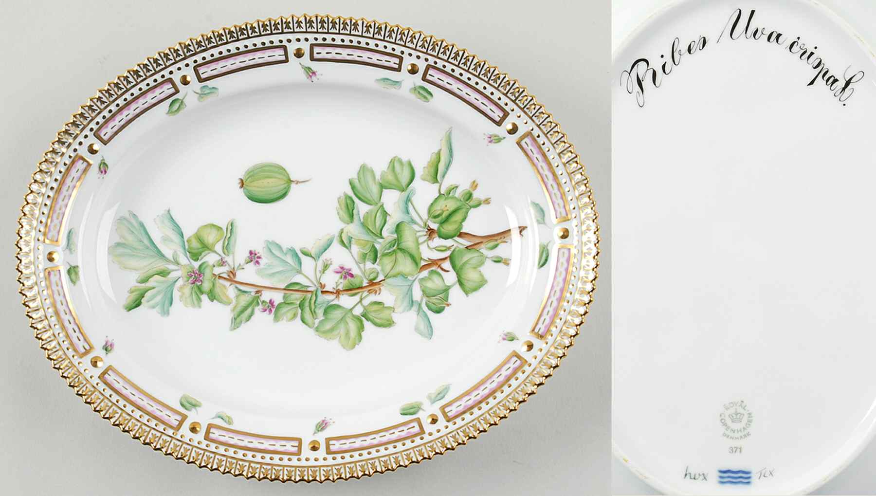 Flora Danica (1961 To Current) 9" Oval Serving Platter-Ribes Uva crispa L by Royal Copenhagen-1