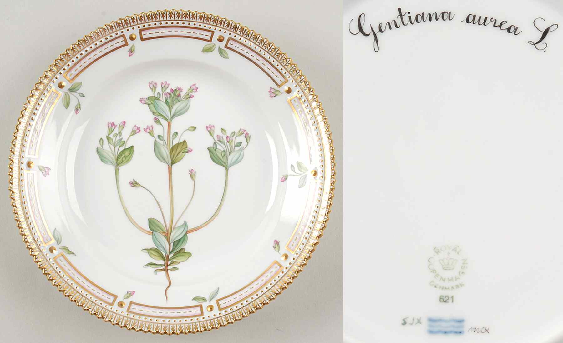 Flora Danica (1961 To Current) Girl Child's Plate-Gentiana aurea L by Royal Copenhagen-1