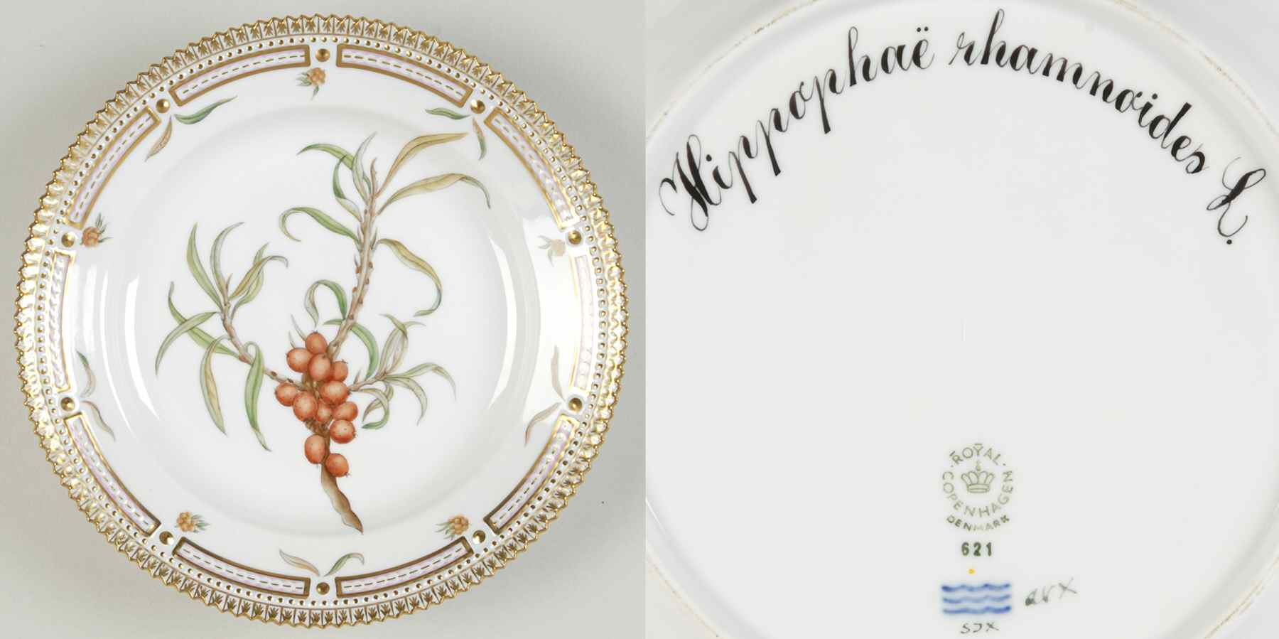 Flora Danica (1961 To Current) Salad Plate-Hippophae rhamnoides L by Royal Copenhagen-1
