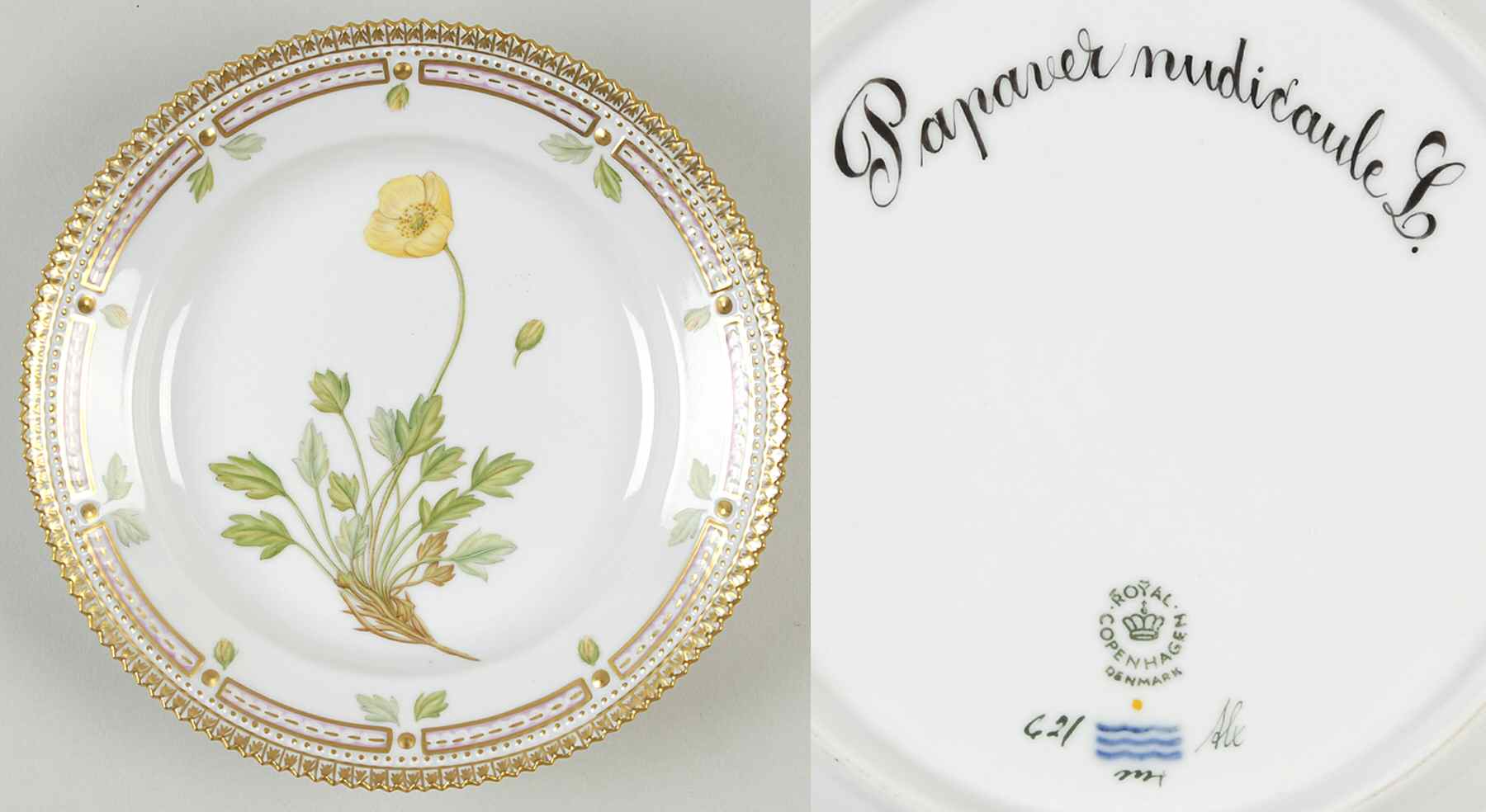 Flora Danica (1961 To Current) Salad Plate-Papaver nudicaule L by Royal Copenhagen-1