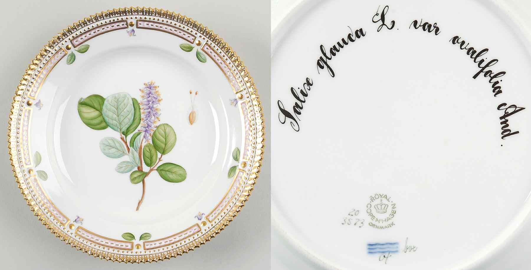 Flora Danica (1961 To Current) Salad Plate-Salix glauca L var ovalifolia And by Royal Copenhagen-1