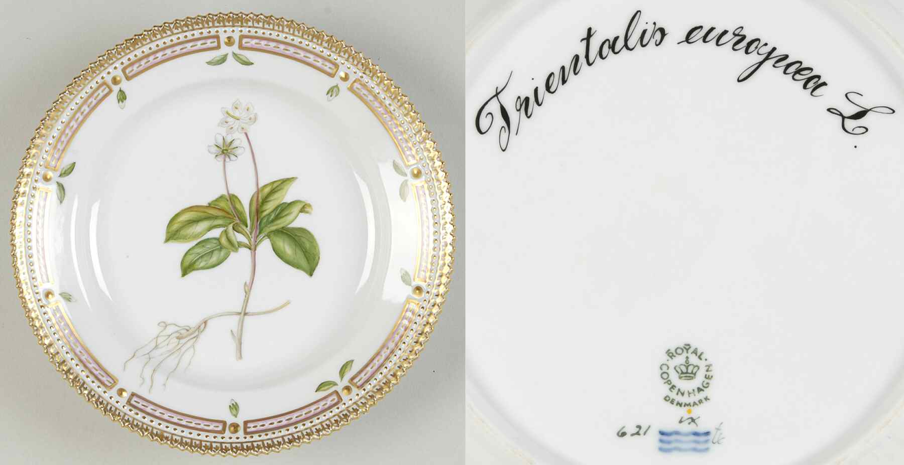 Flora Danica (1961 To Current) Salad Plate-Trientalis europaea L by Royal Copenhagen-1
