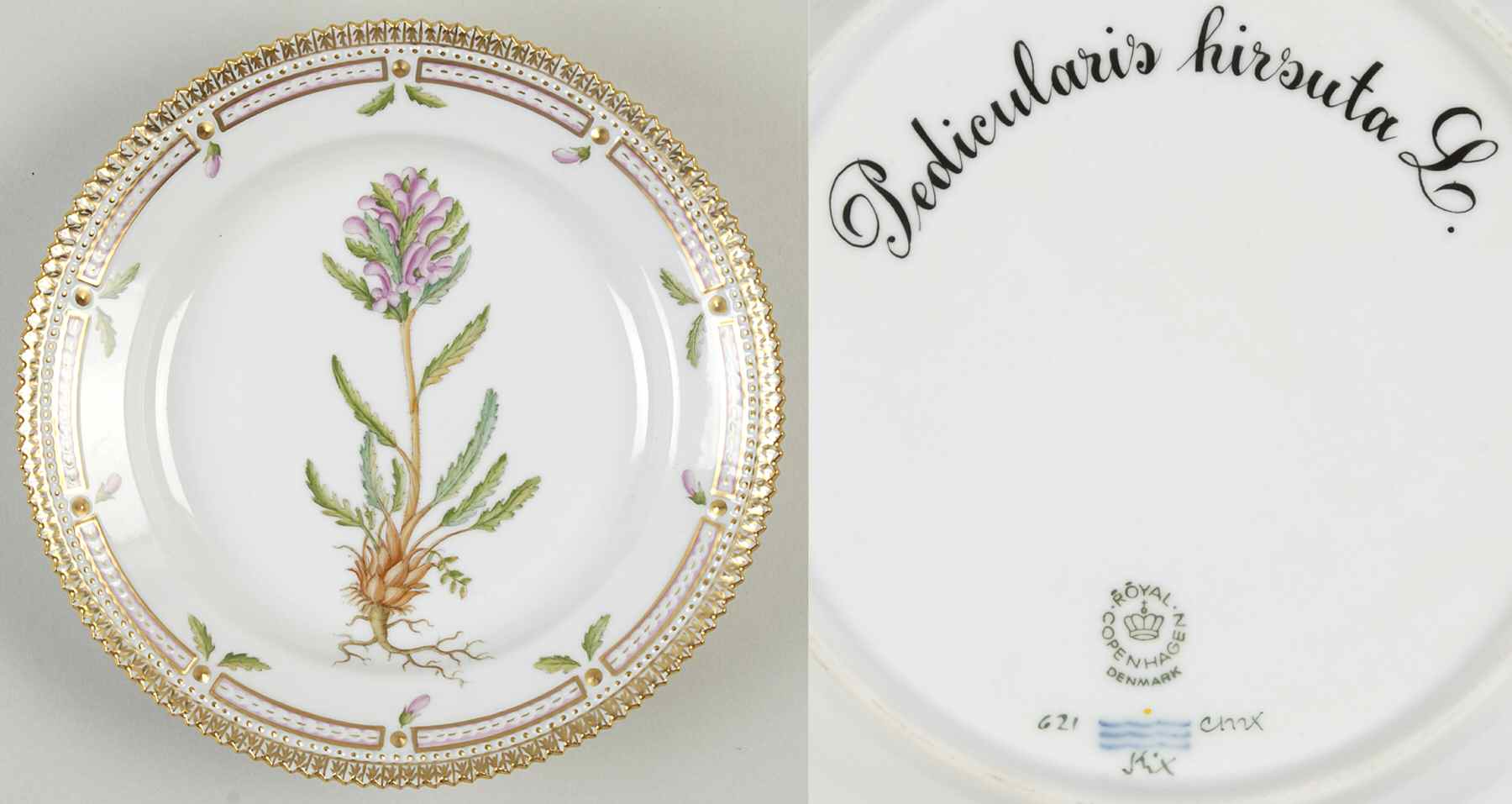 Flora Danica (1961 To Current) Salad Plate-Pedicularis hirsuta L by Royal Copenhagen-1