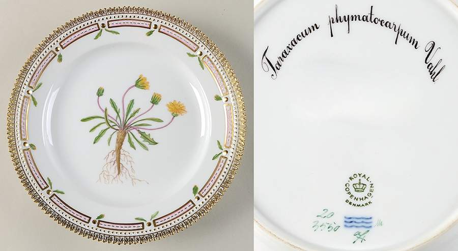Flora Danica (1961 To Current) Luncheon Plate-Tarazacum phymatocarpum Vahl by Royal Copenhagen-1