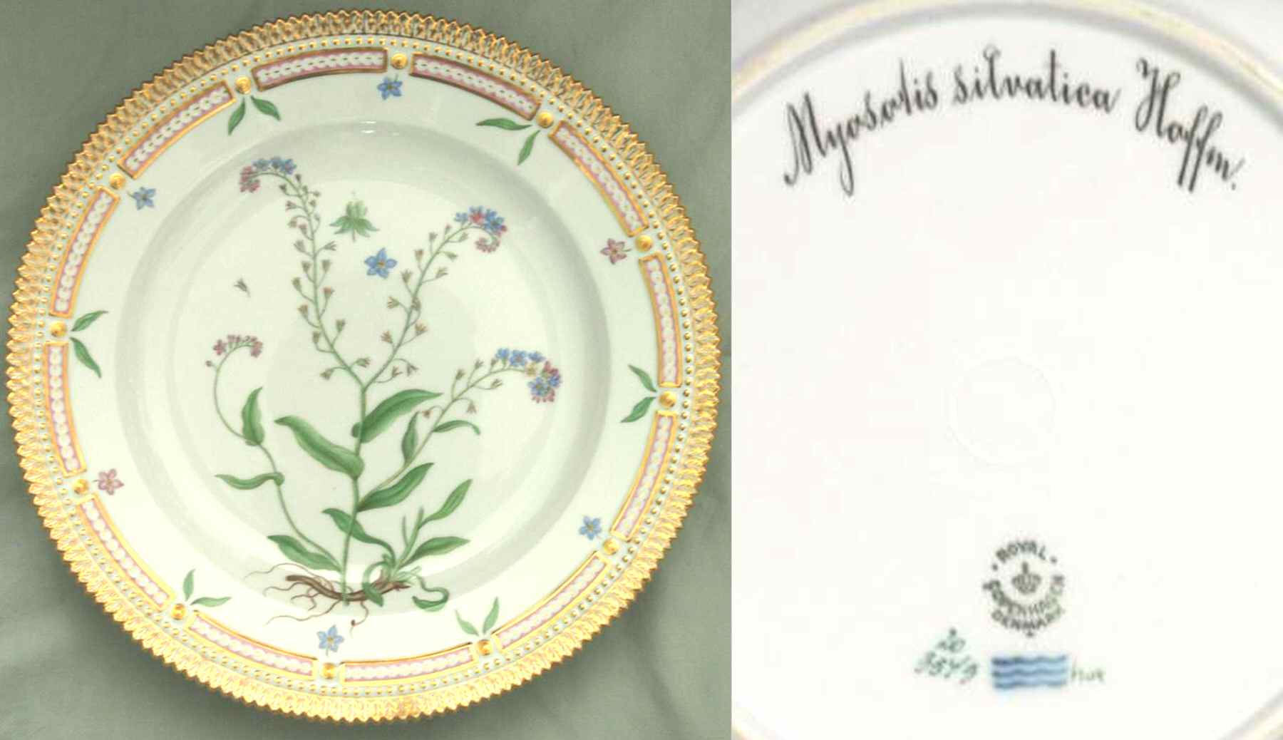 Flora Danica (1961 To Current) Dinner Plate-Myosotis sylvatica Hoffm by Royal Copenhagen-1