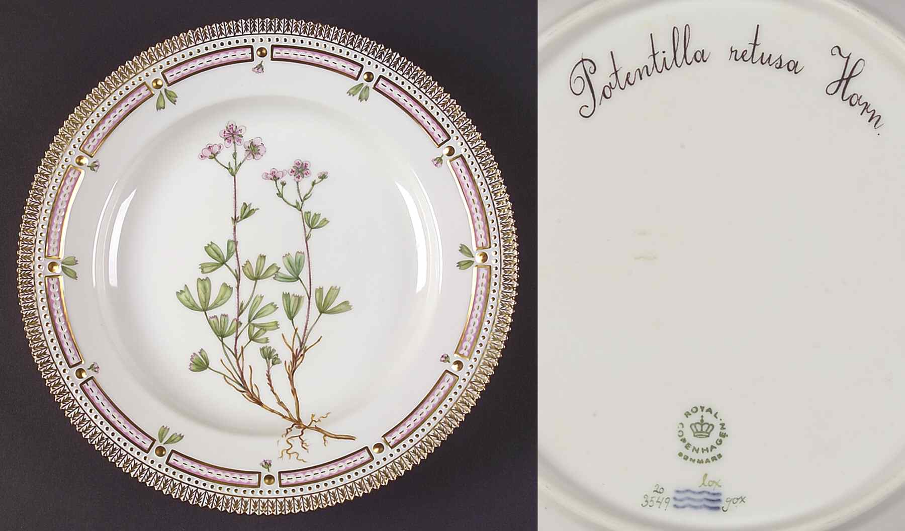 Flora Danica (1961 To Current) Dinner Plate-Potentilla retusa Horn by Royal Copenhagen-1