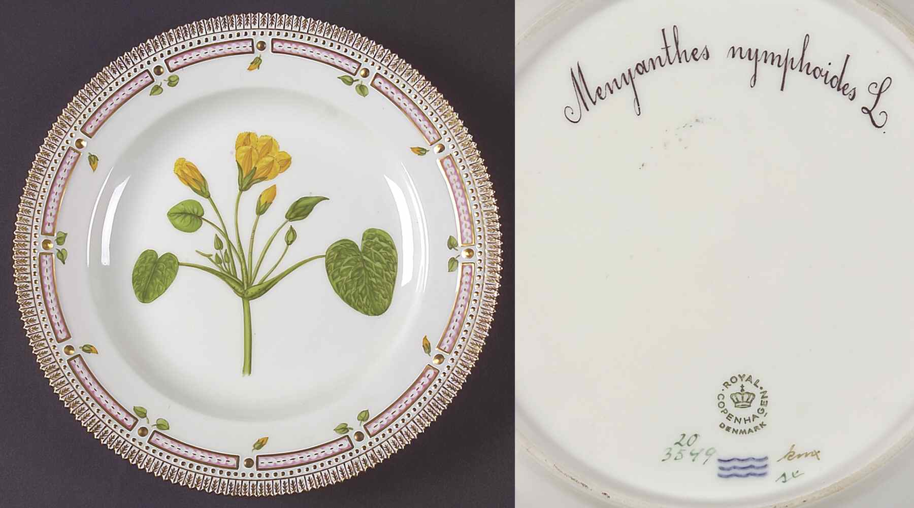 Flora Danica (1961 To Current) Dinner Plate-Menyanthes nymphoides L by Royal Copenhagen-1