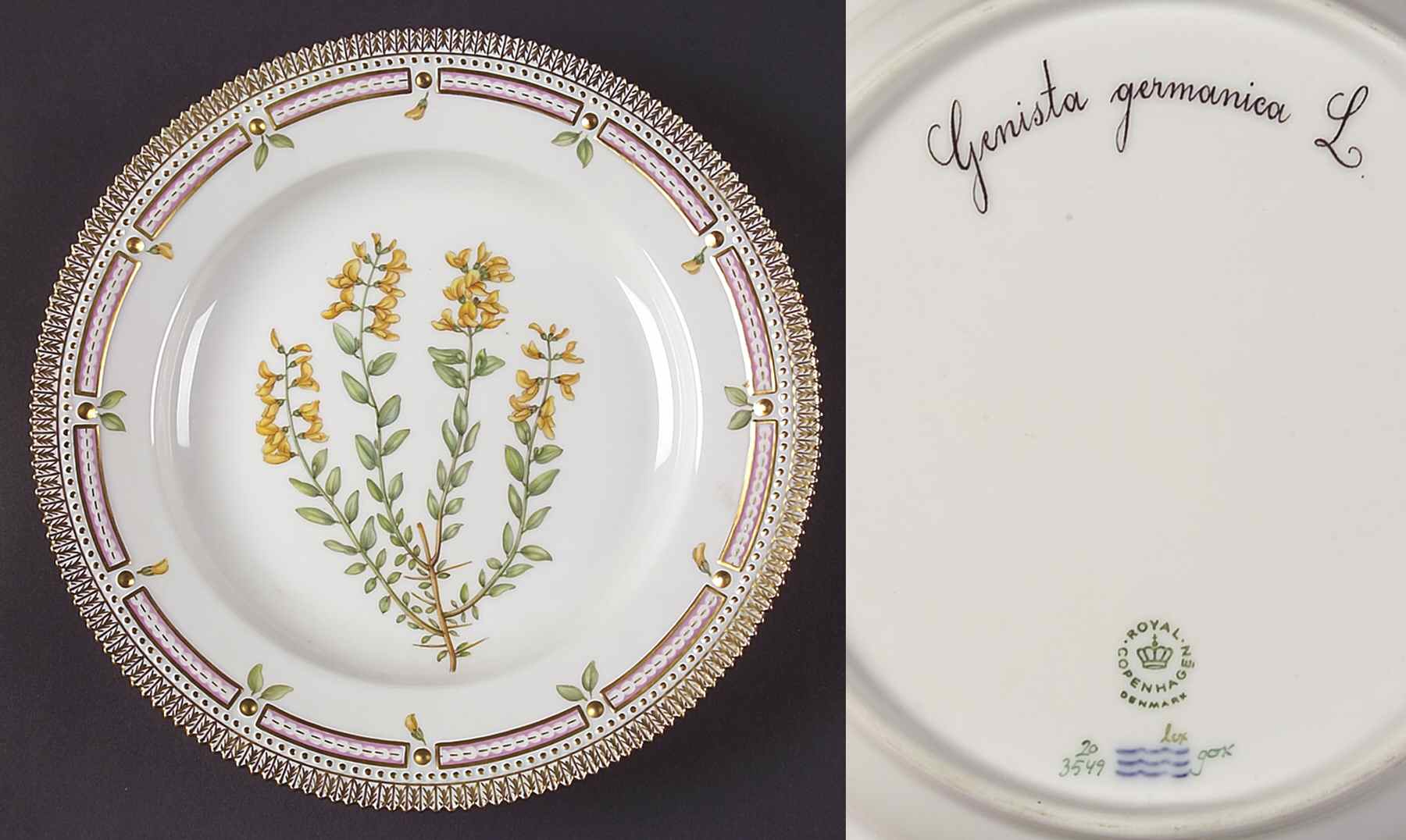 Flora Danica (1961 To Current) Dinner Plate-Genista germanica L by Royal Copenhagen-1