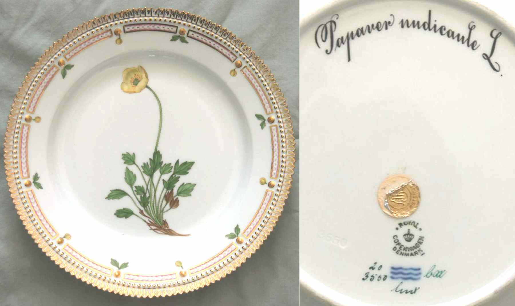 Flora Danica (1961 To Current) Luncheon Plate-Papaver nudicaule L by Royal Copenhagen-1